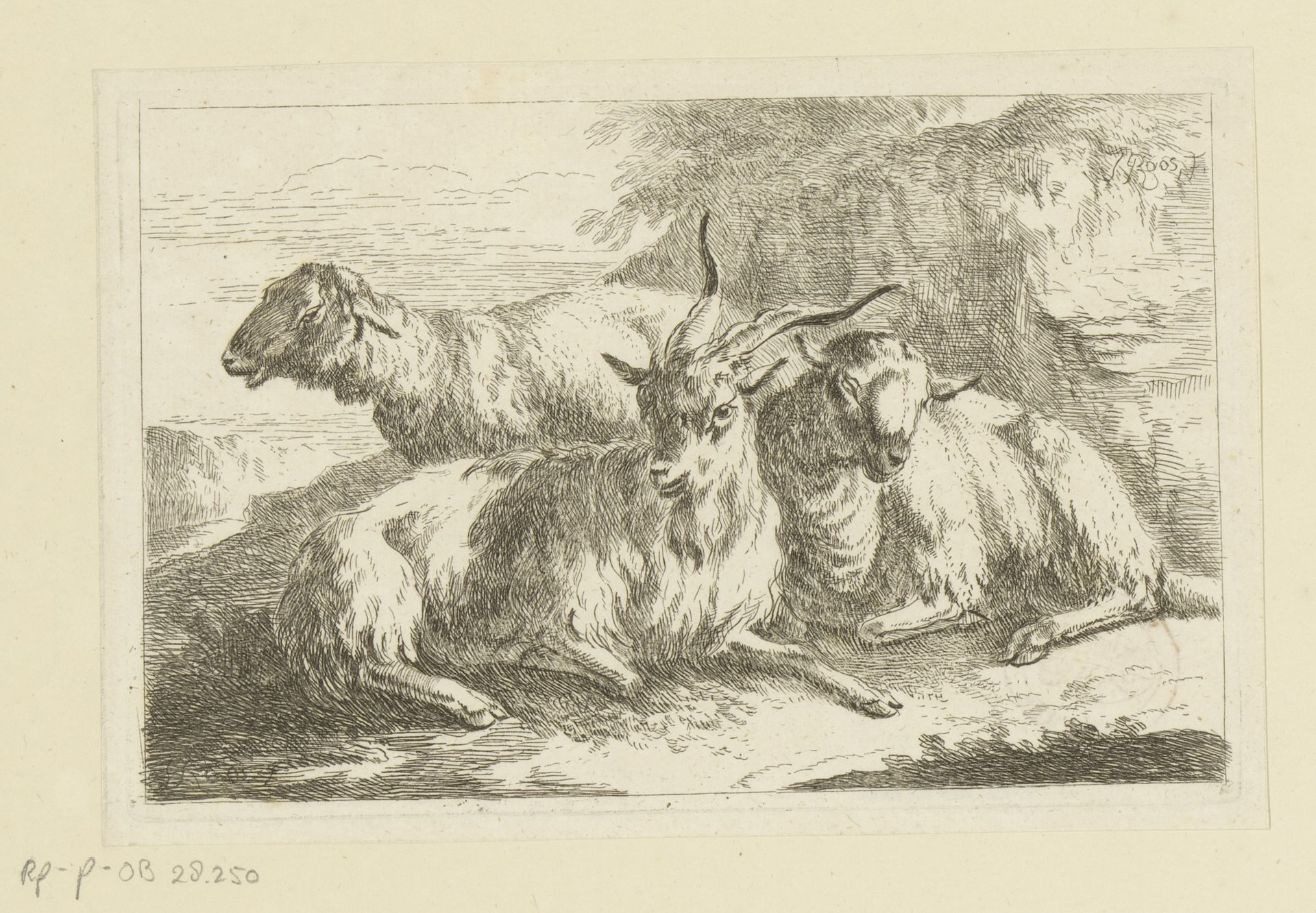 Geit en twee schapen by Joseph (I) Roos
