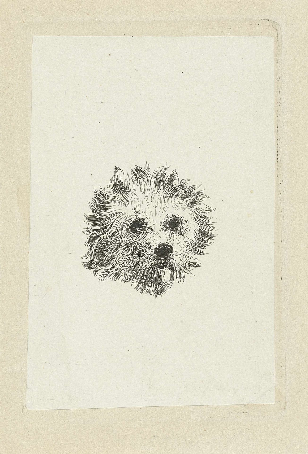 Kop van hond by Eduard Cuypers