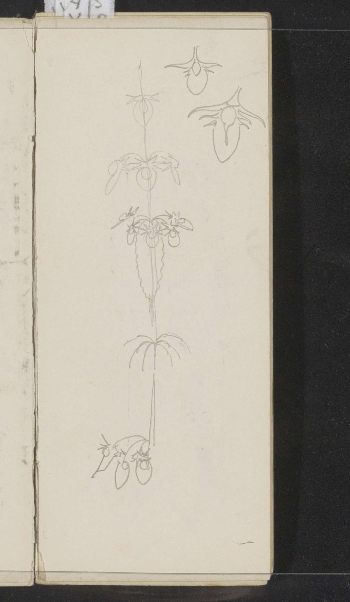 Tak met bladeren en bloemen by Gerrit Willem Dijsselhof