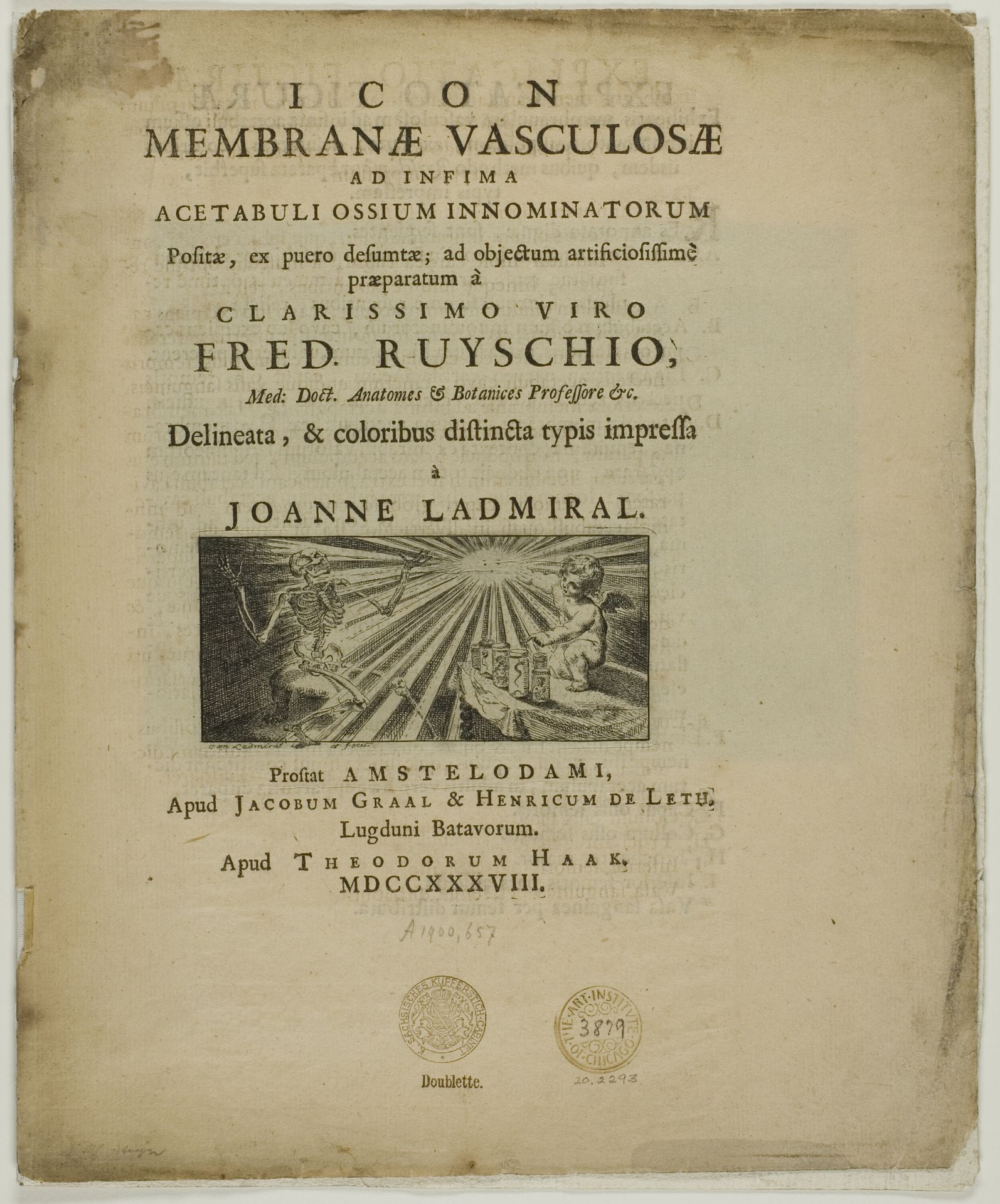 Icon membrane vasculosae by Jan L'Admiral