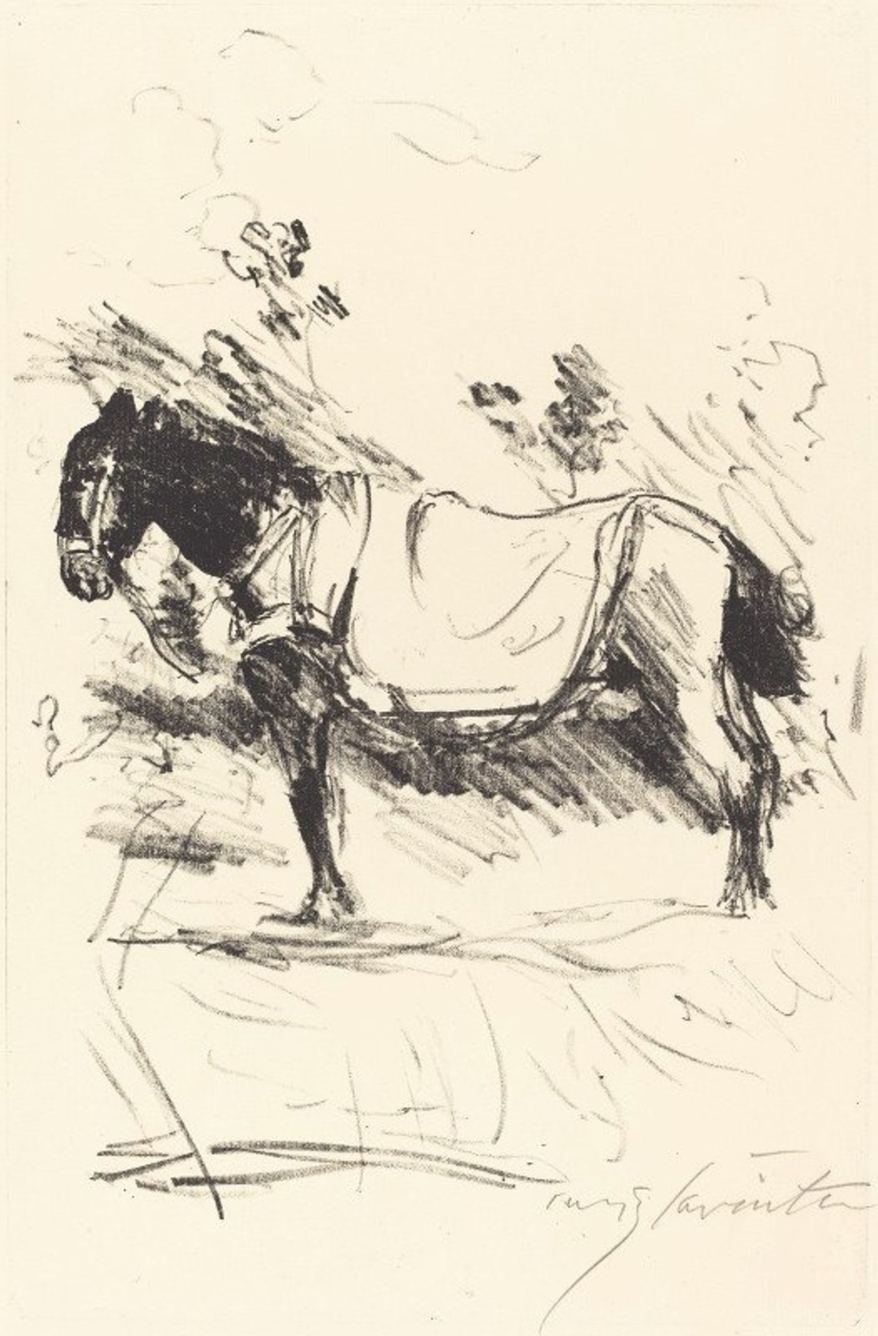 Riding-Horse by Lovis Corinth