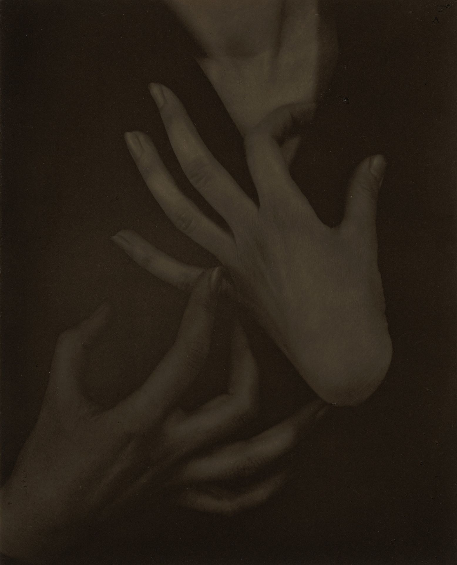 Georgia O'Keeffe—Hands by Alfred Stieglitz