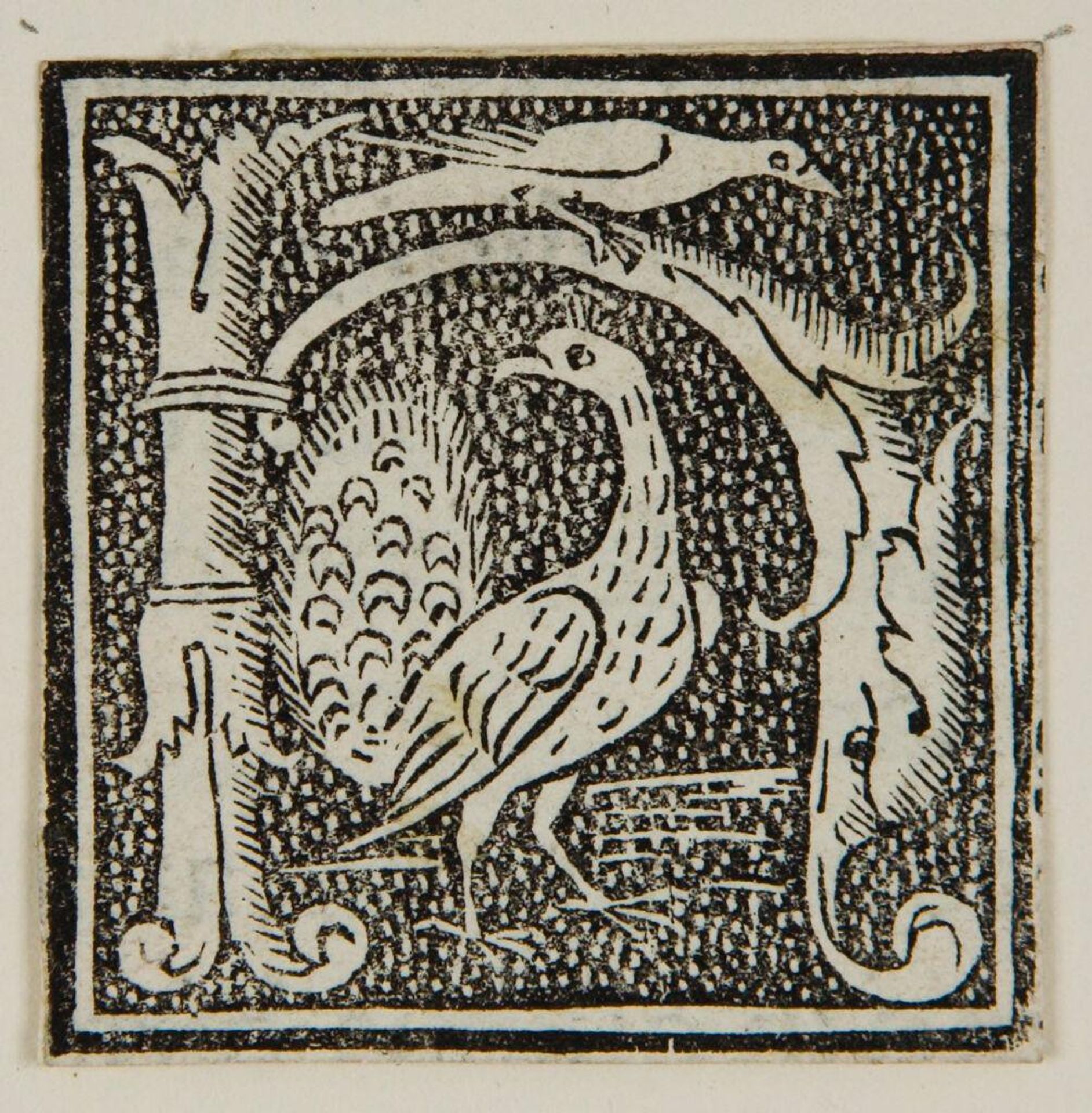Initial H by Anonymous