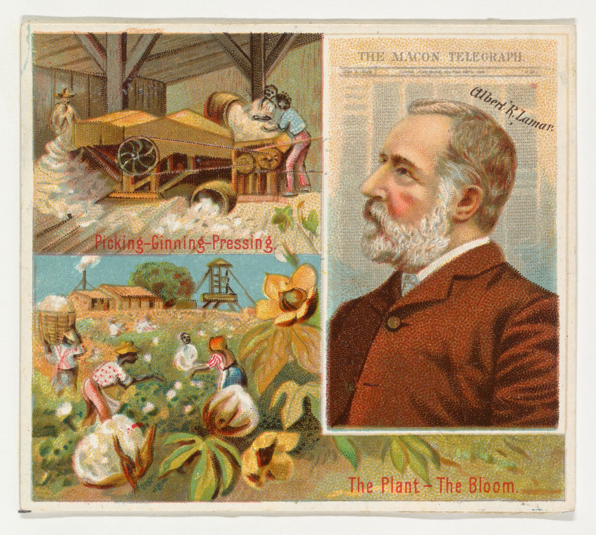 Albert R. Lamar, The Macon Telegraph, from the American Editors series (N35) for Allen & Ginter Cigarettes by Allen & Ginter