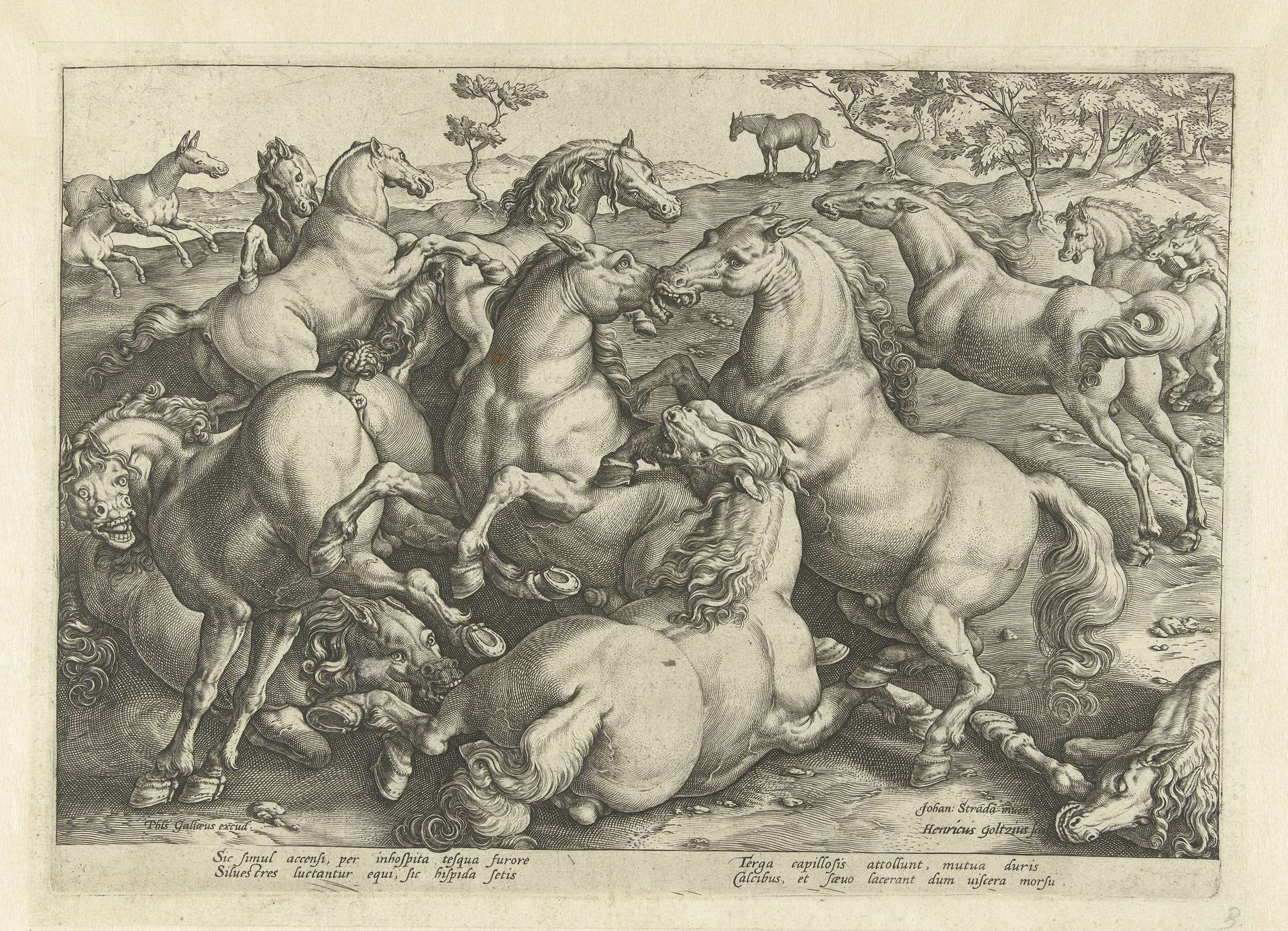 Twaalf vechtende paarden by Hendrick Goltzius