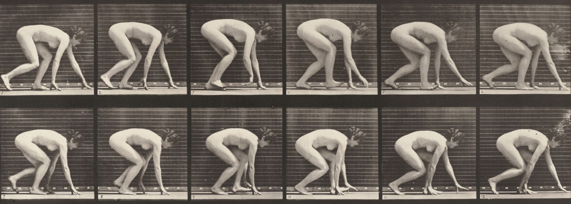 Plate Number 183. Walking on hands and feet by Eadweard Muybridge