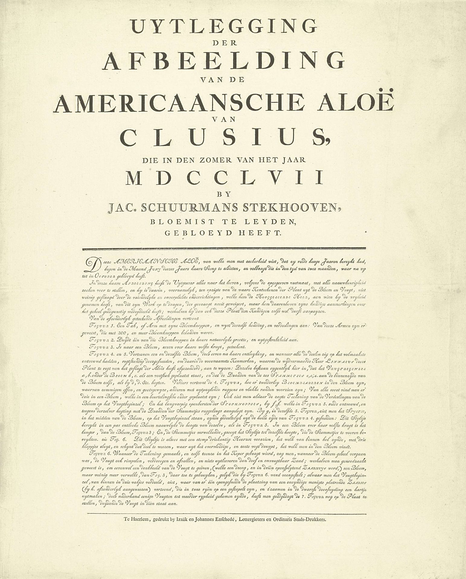 Uitleg bij de prent van de bloeiende Amerikaanse Aloë, 1757 by Izaak Enschedé