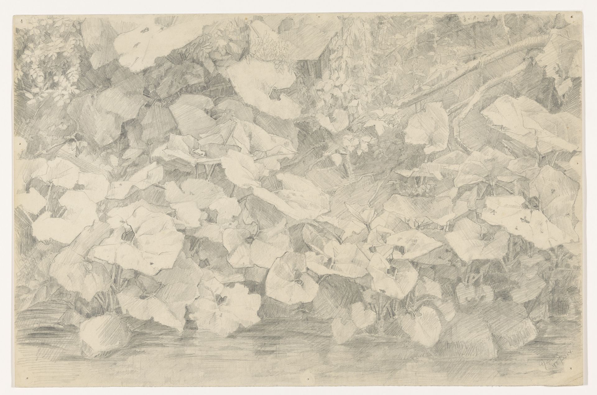 Planten aan de waterkant by Reijer Stolk