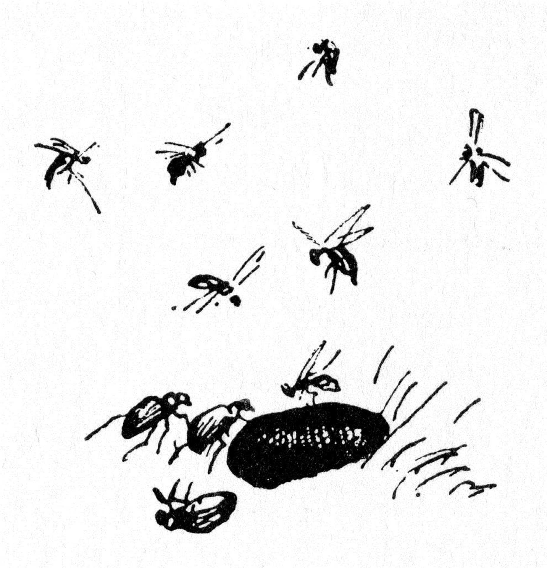 Insects by Theodor Severin Kittelsen