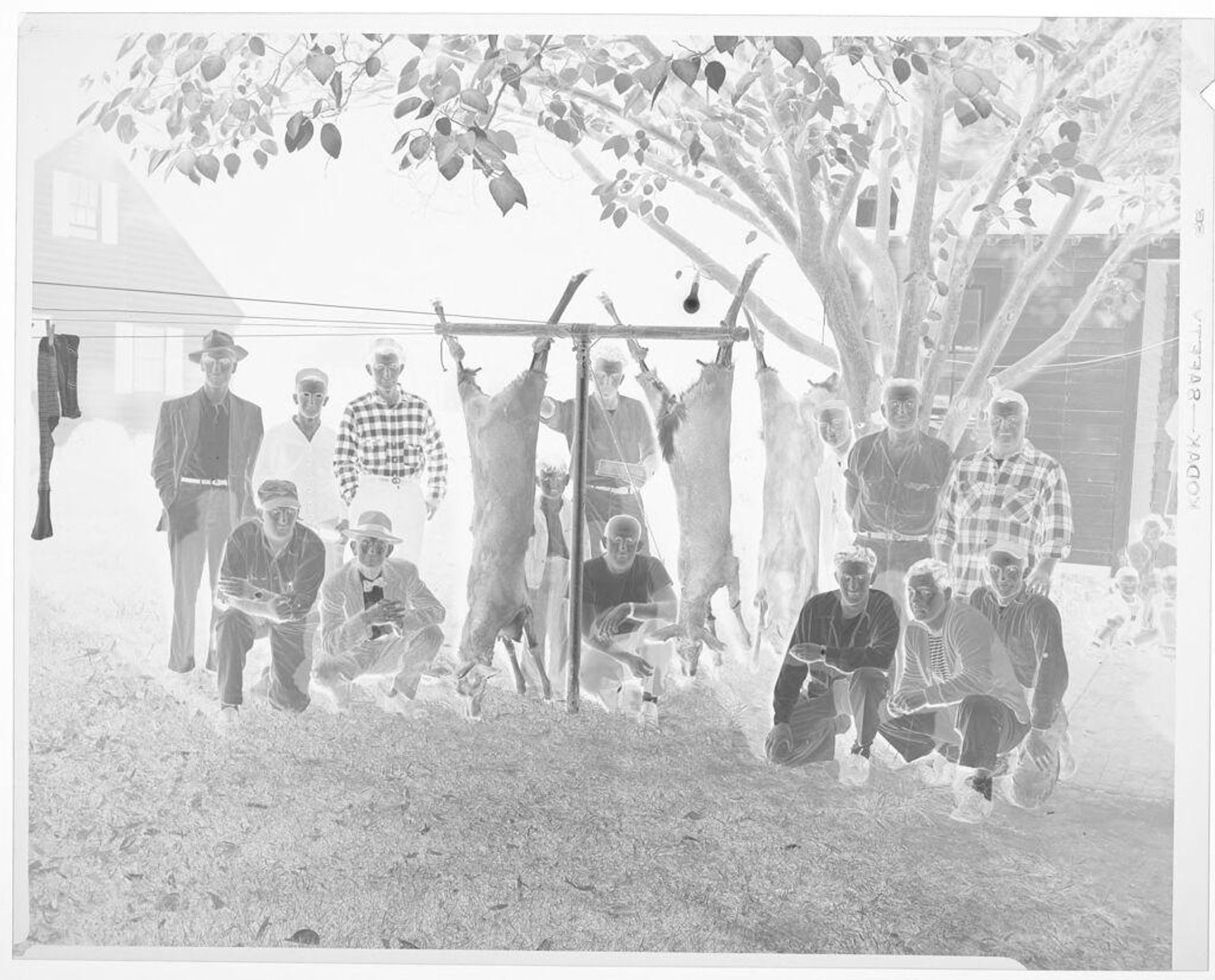 Untitled (group of men with hunted deer) by Hamblin Studio