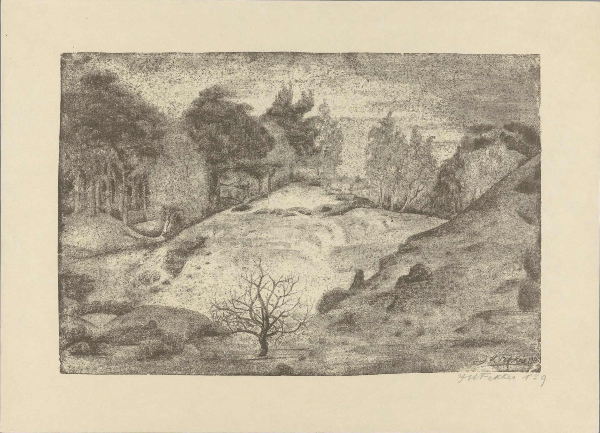 Heide bij Laren by Jan Fekkes