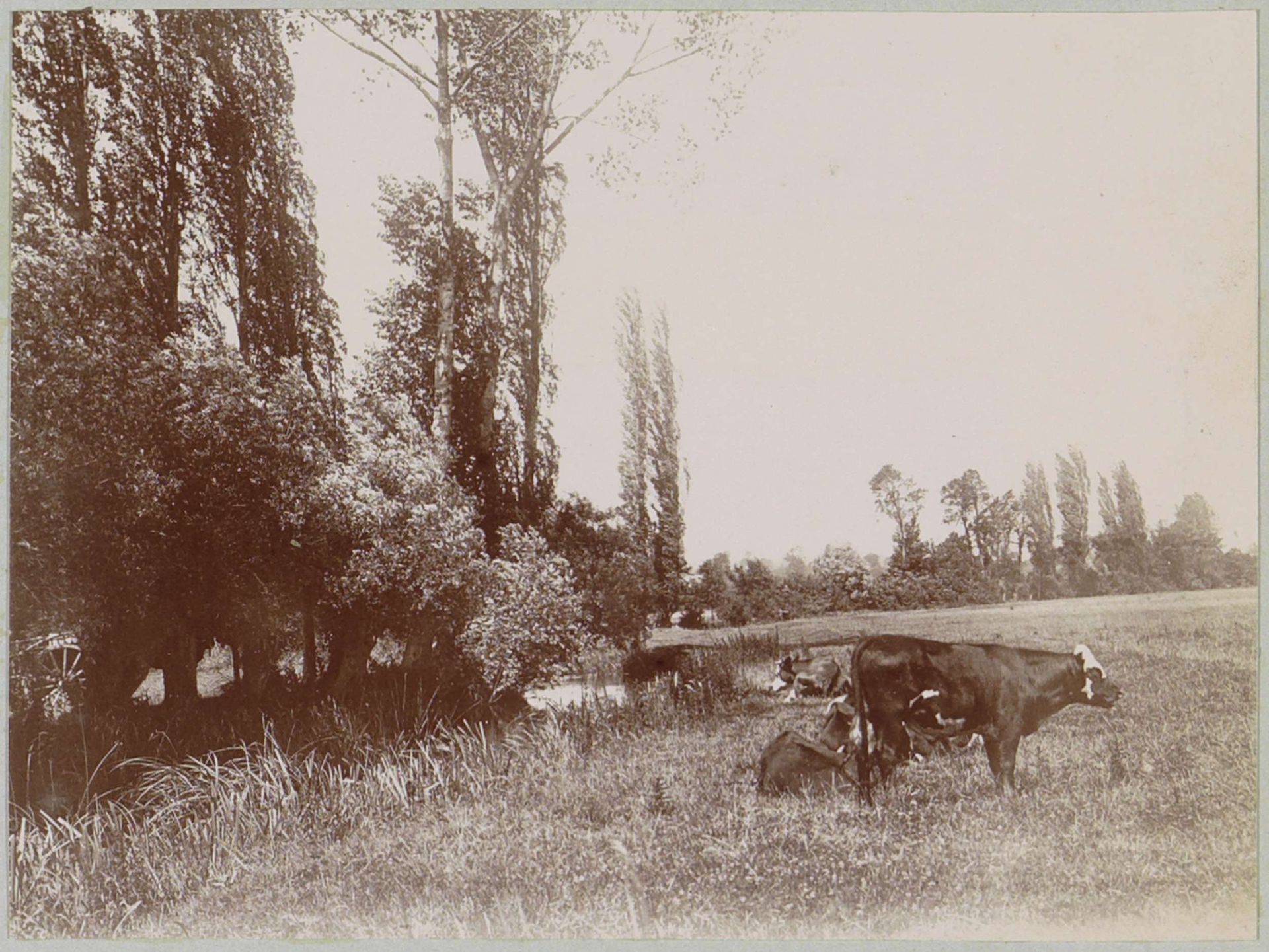 Landschap met koeien aan de oevers van een beek, vermoedelijk bij Lisieux by Delizy