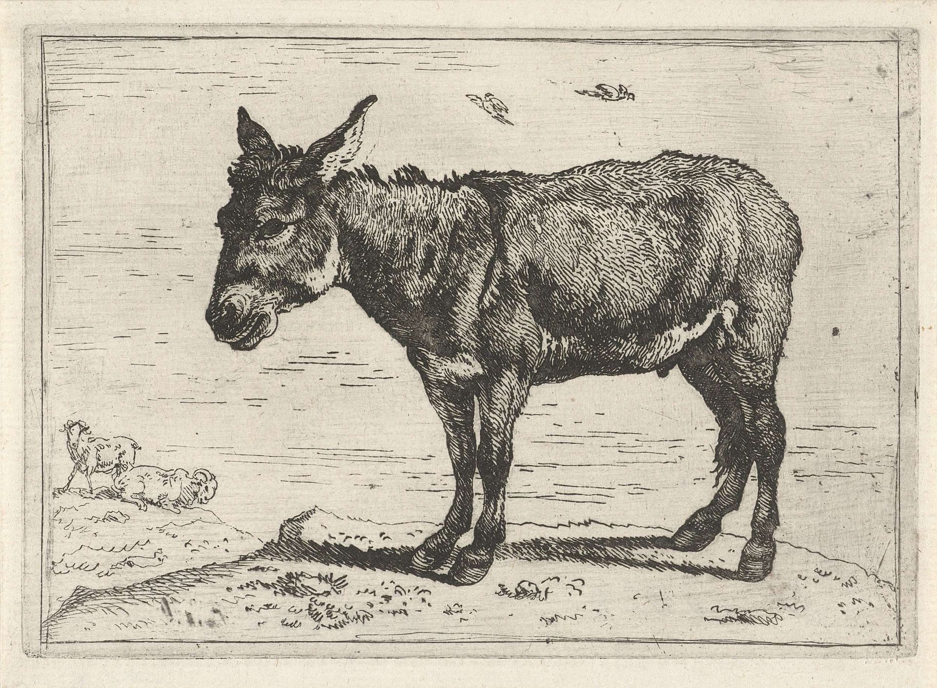 Ezel by Govert van der Leeuw