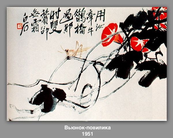 Slide 11