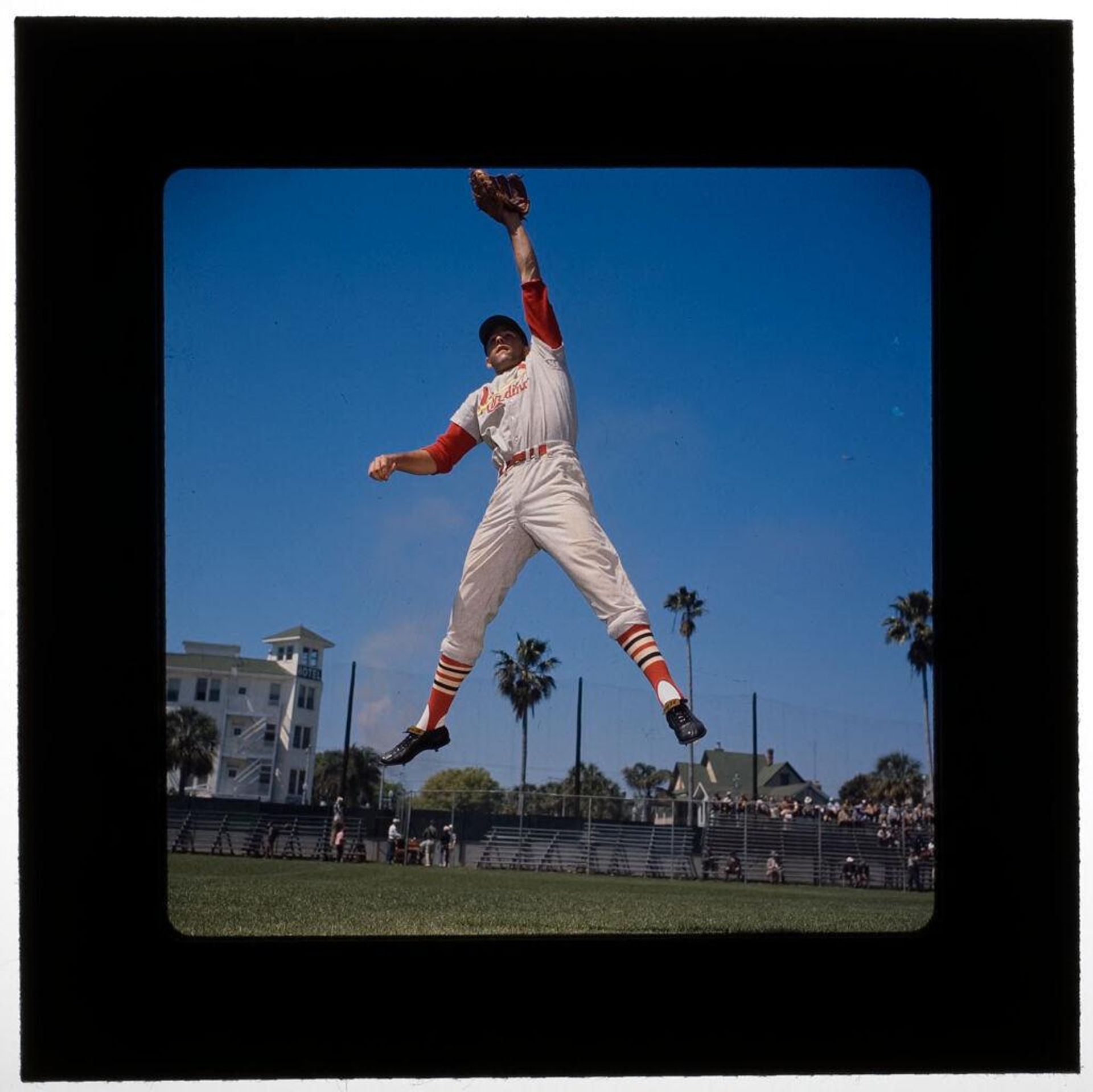 Untitled (Cardinal baseball player jumping to catch ball) by Jack Gould