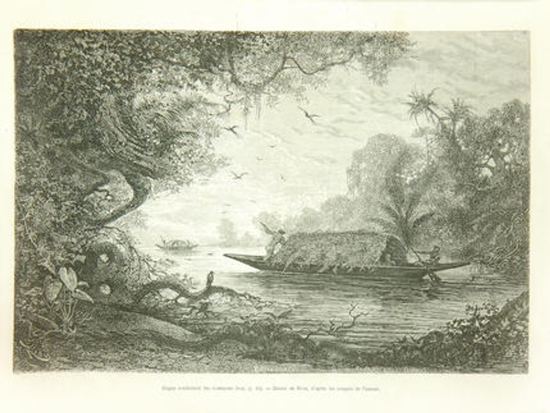 Bogas Conduisant Les Champans by Edouard Riou