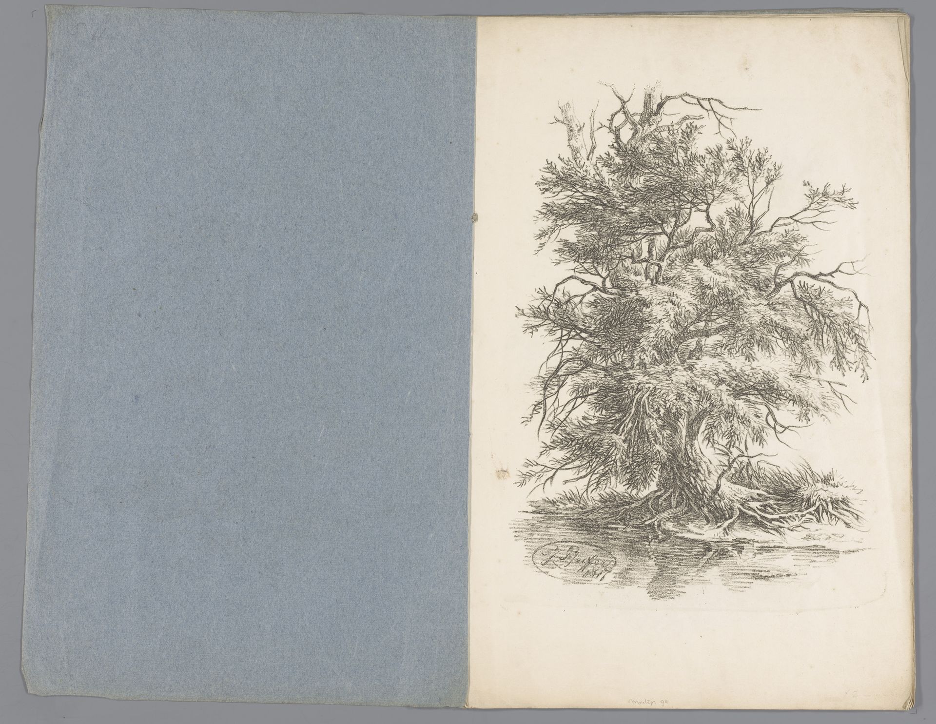 Boom aan waterkant by François Joseph (II) Pfeiffer