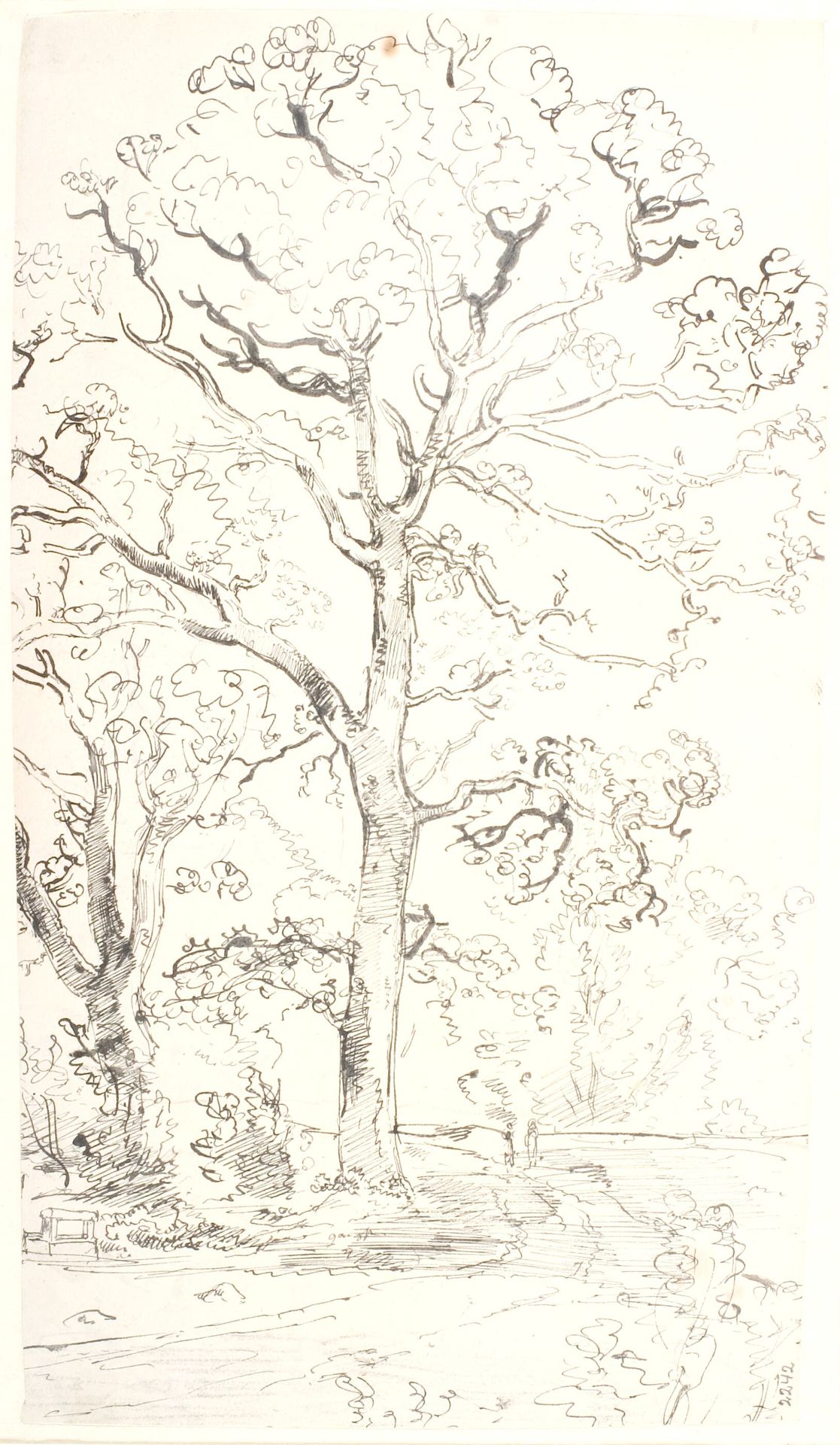 Studie af egetræer by Dankvart Dreyer