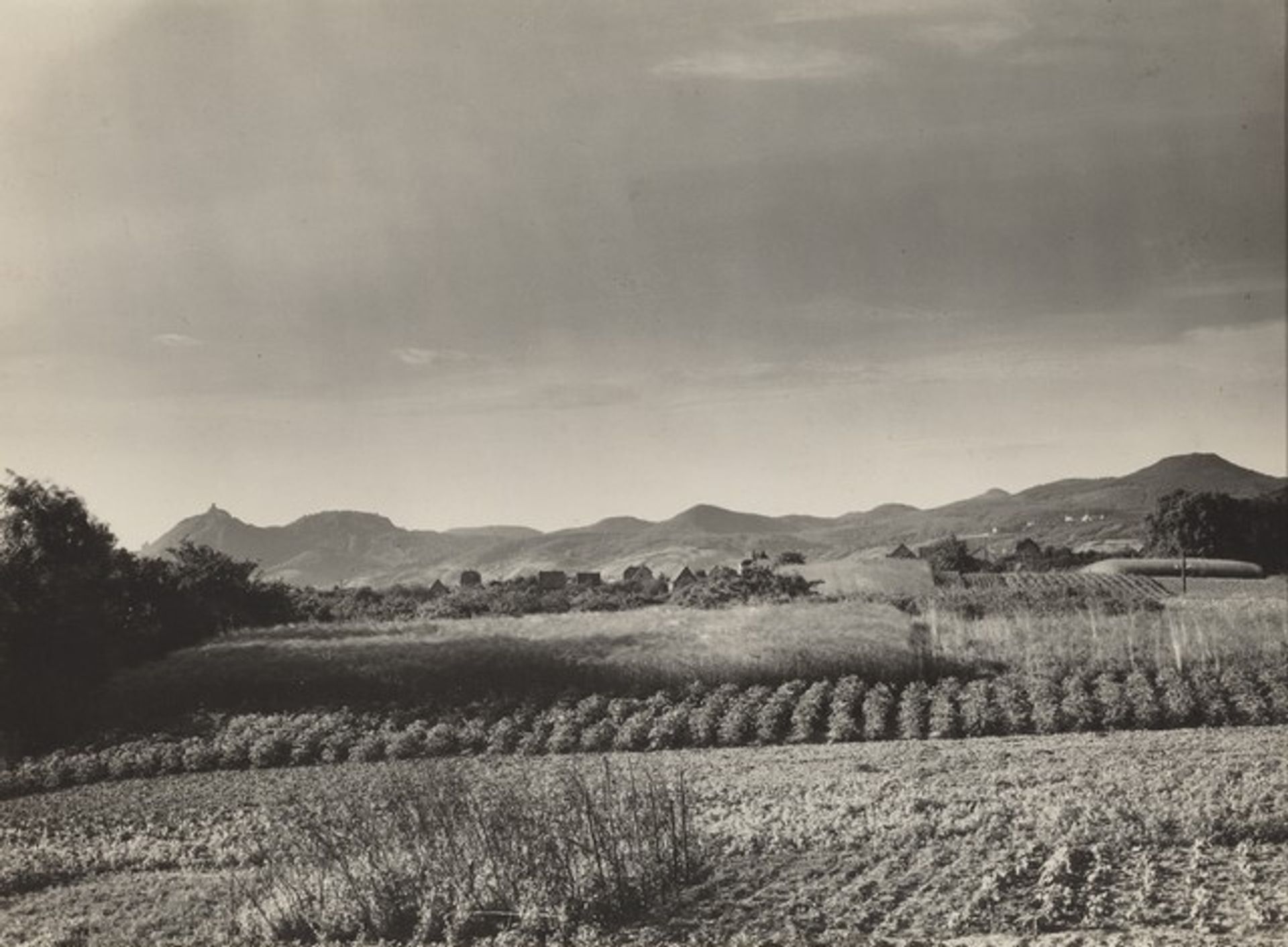 The Siebengebirge as seen from Rheinbreitbach by August Sander