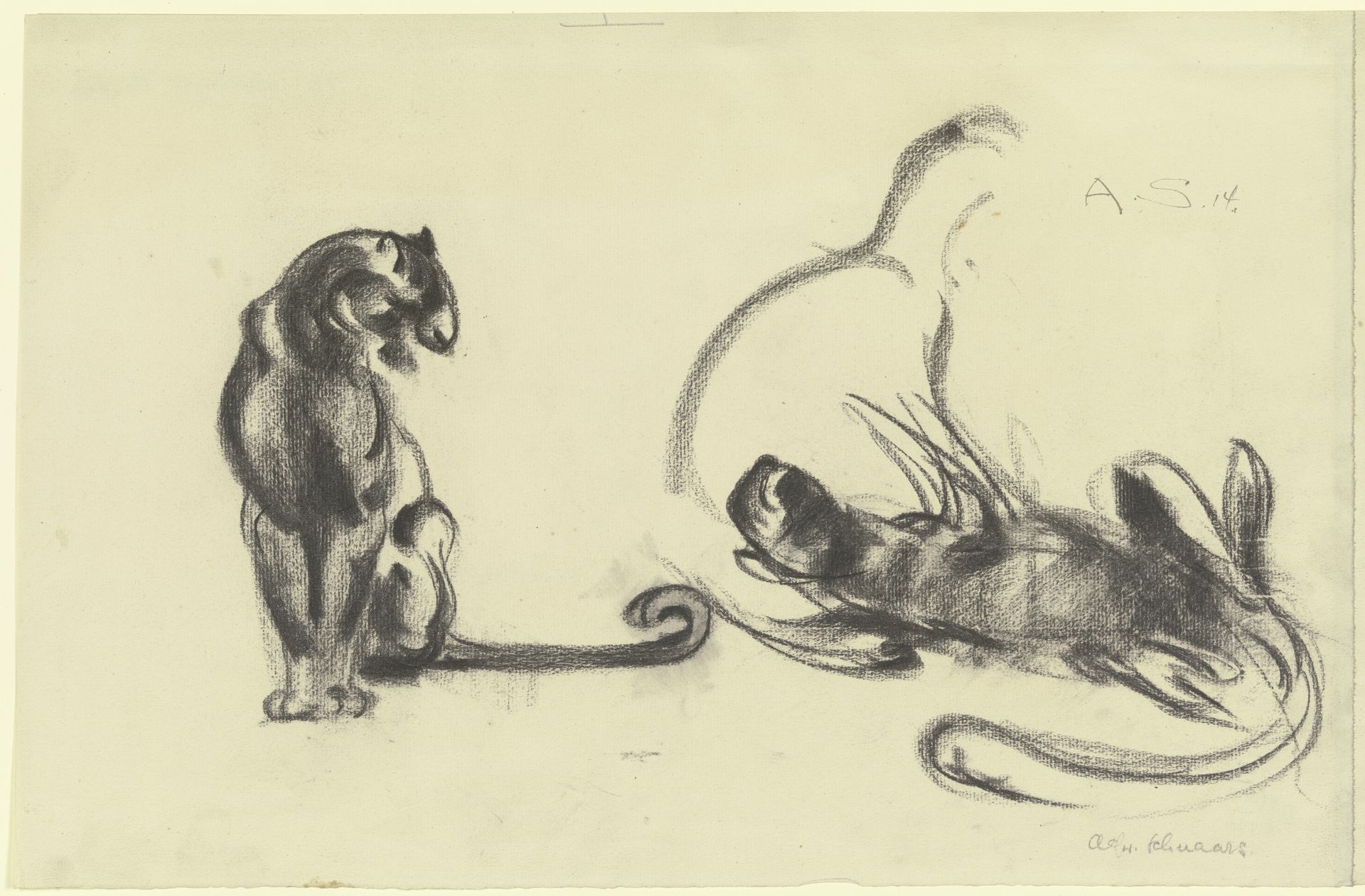 Cats by Alfred Schnaars