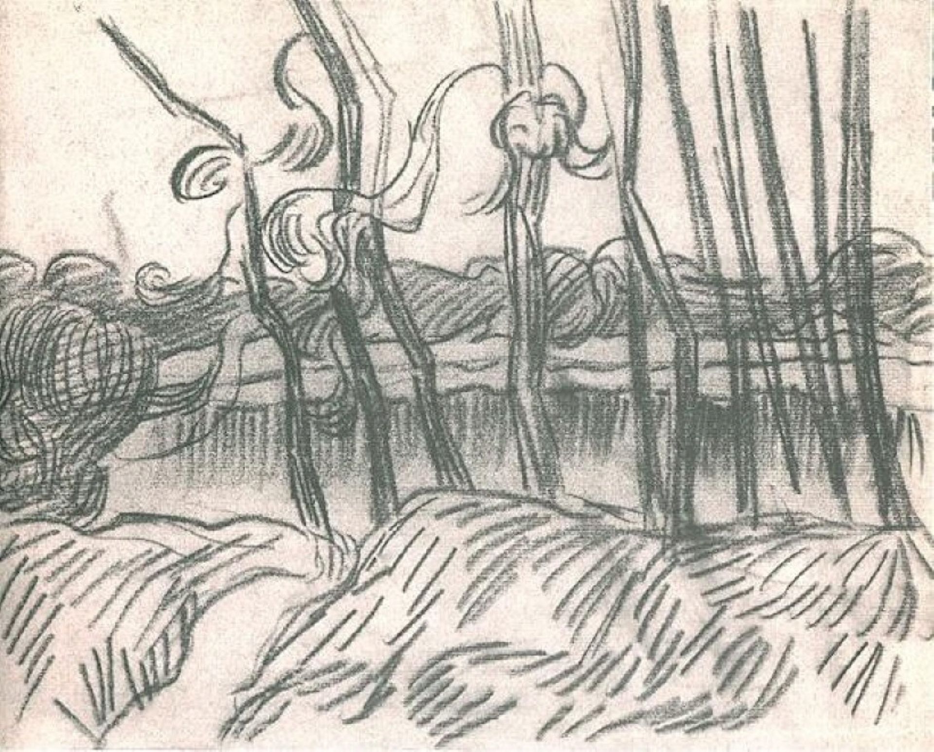 A Row of Bare Trees by Vincent van Gogh