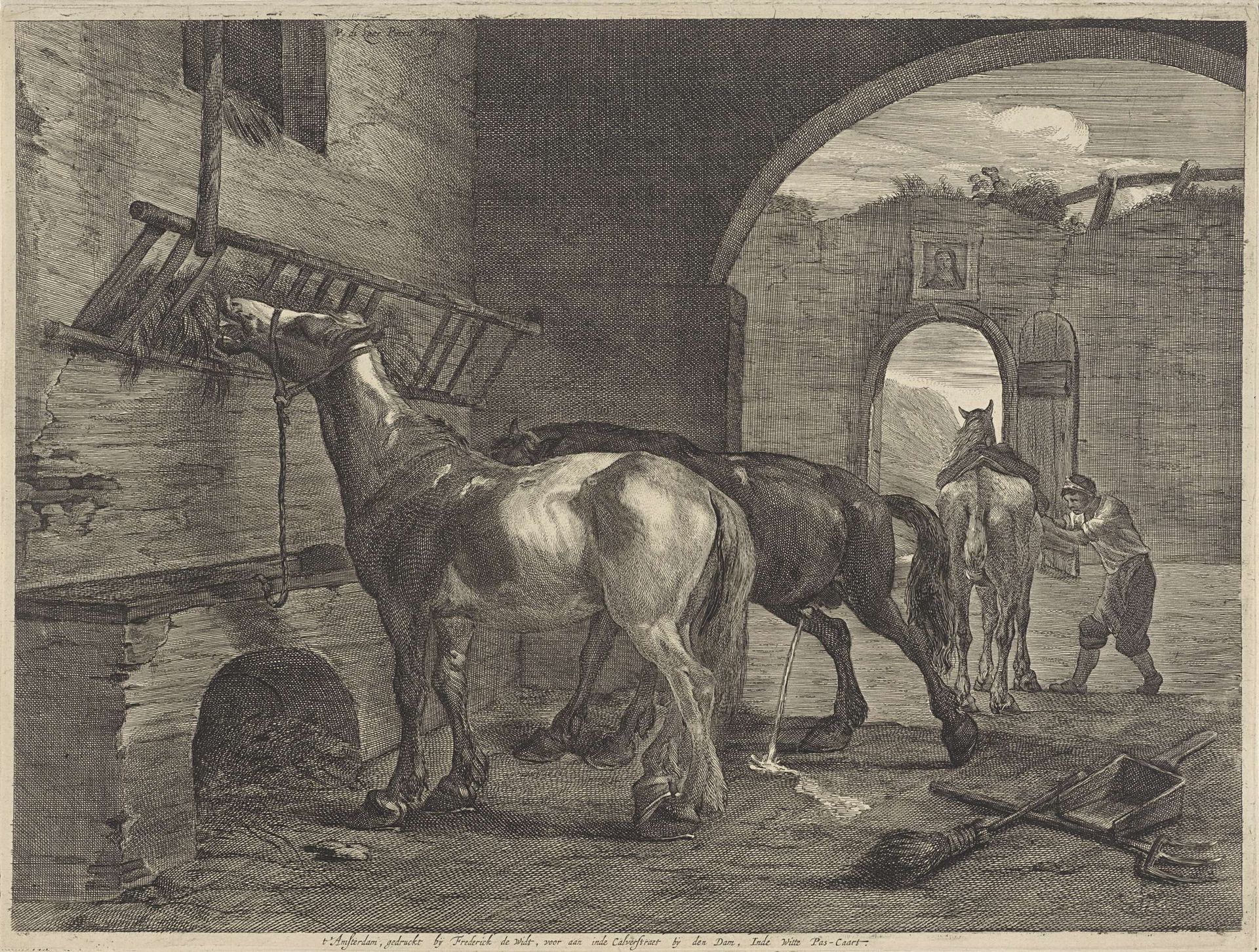 Paardenstal by Cornelis Visscher