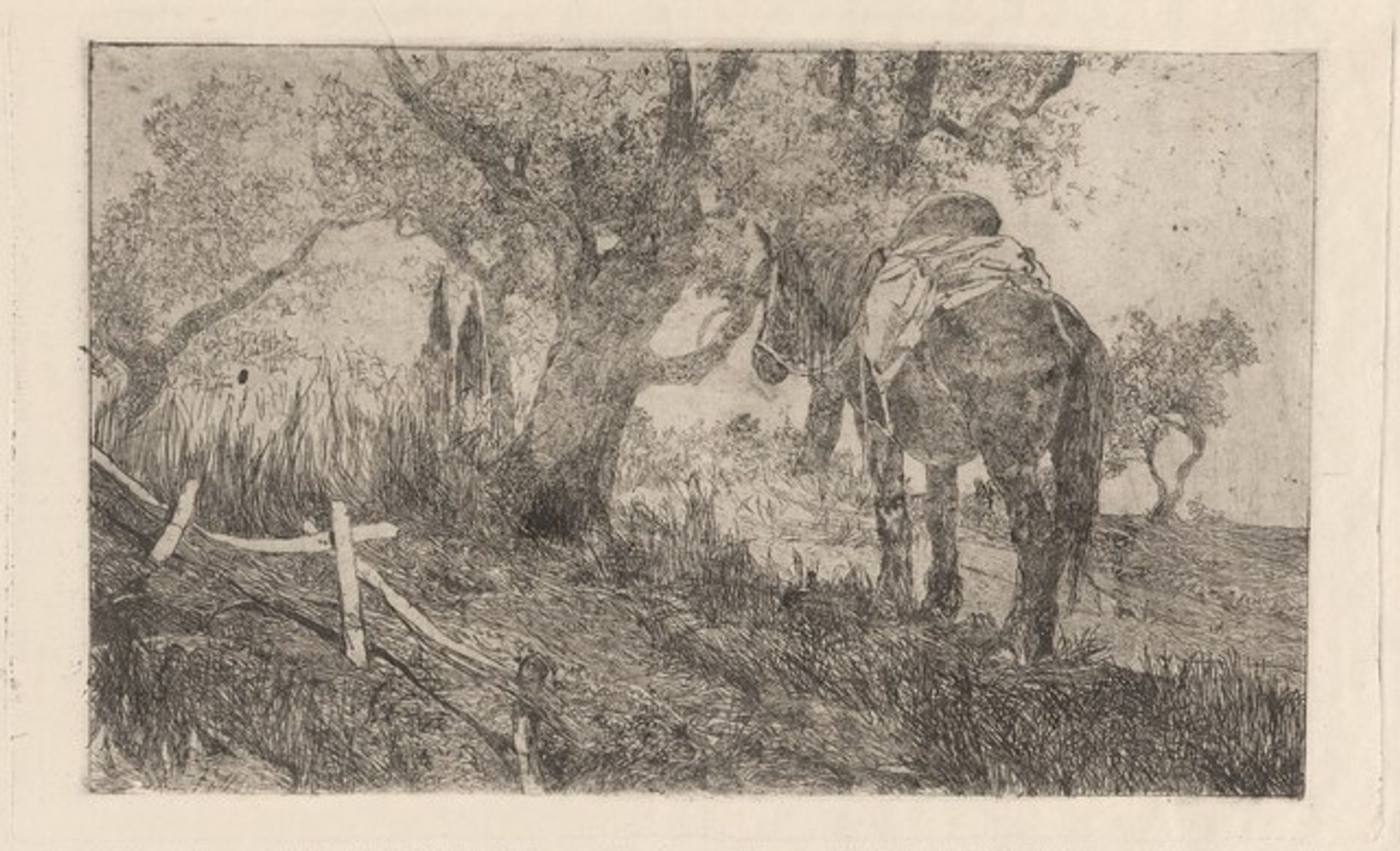 Horse at Midday (Cavallo a meriggio) by Giovanni Fattori