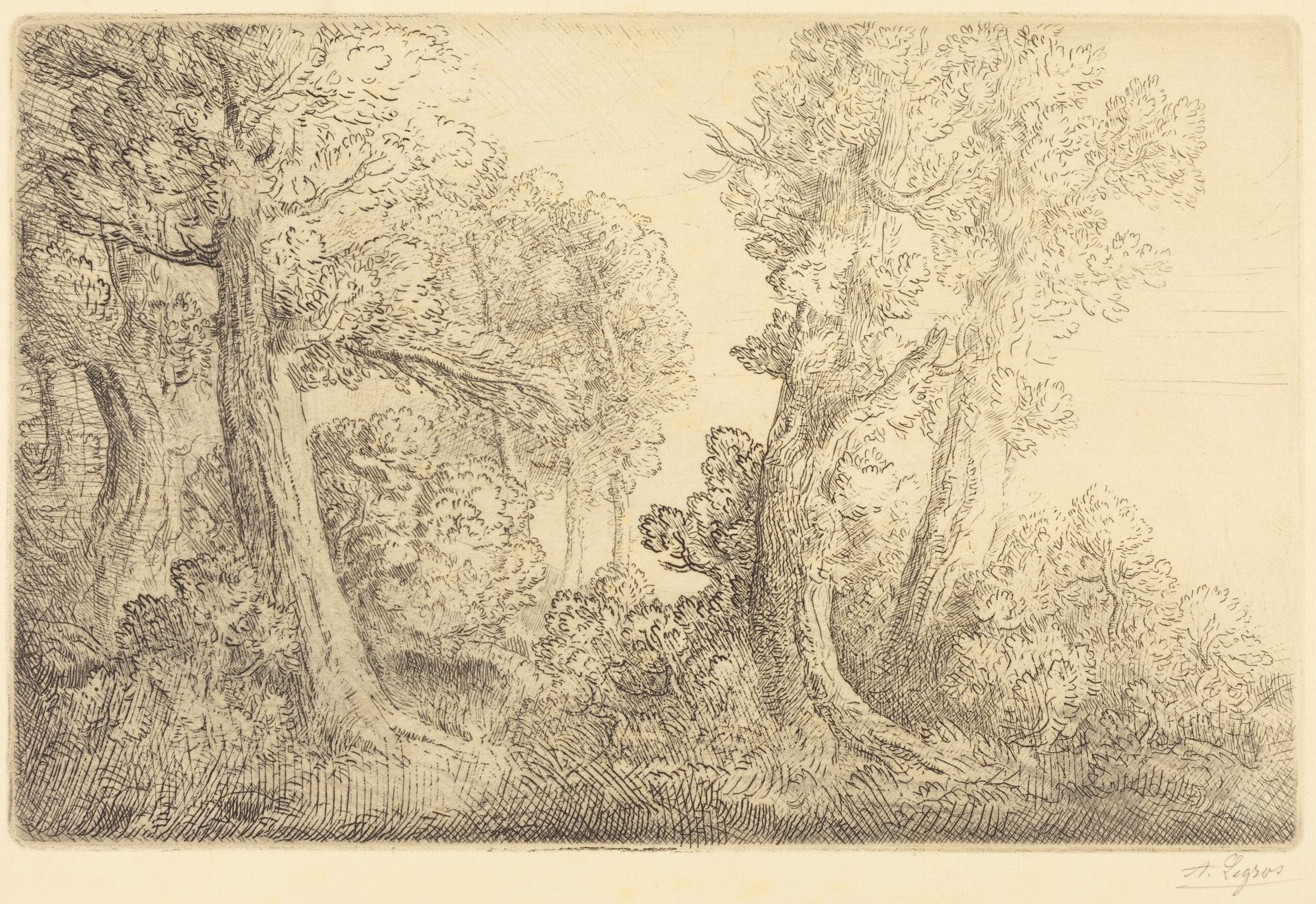 Near the Woods, Veronne (Pres du bois, Veronne) by Alphonse Legros