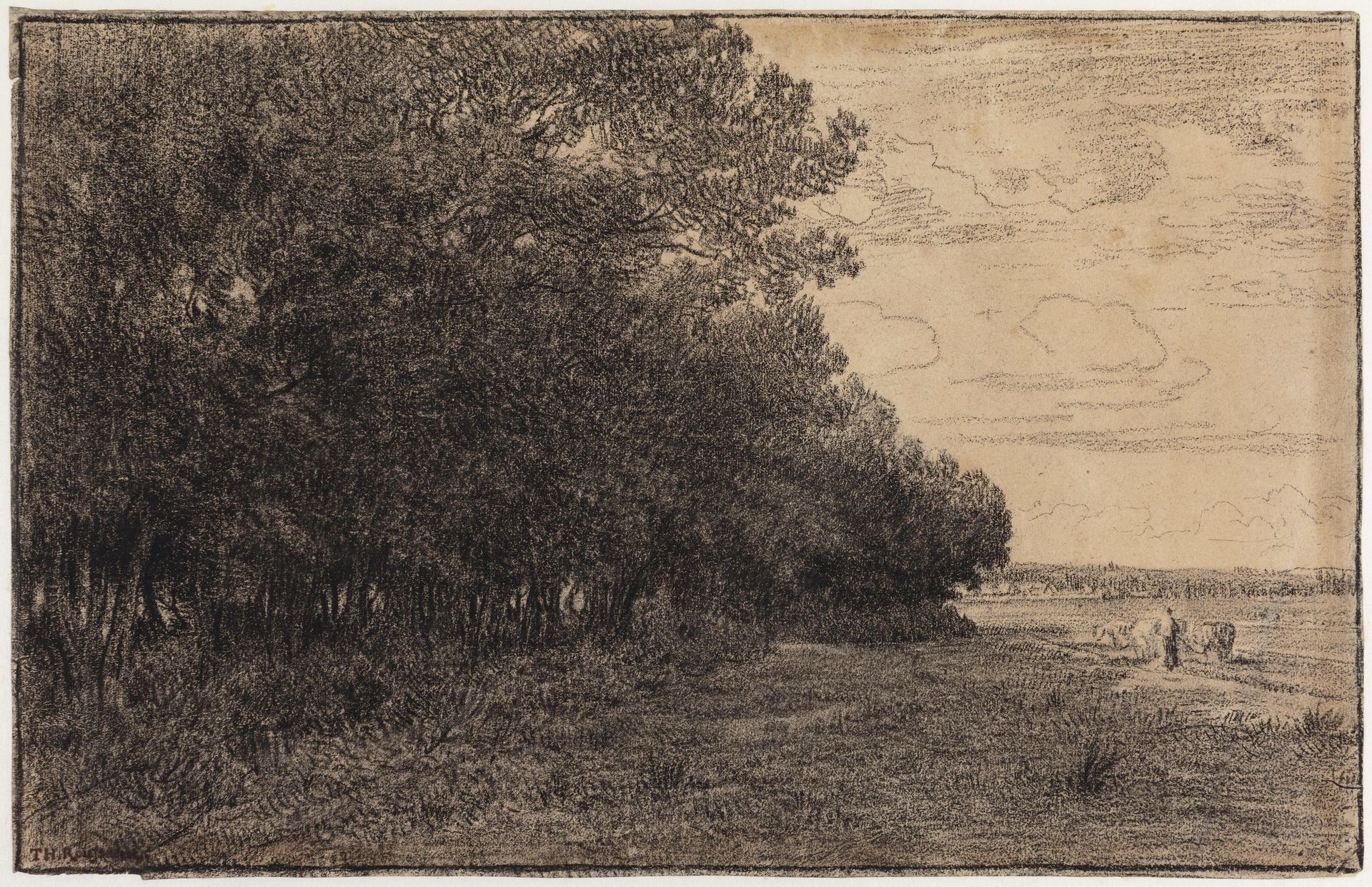 En lille gruppe høje træer ved Macherin skoven by Theodore Rousseau