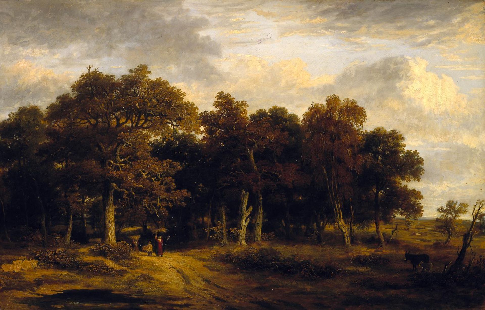 Woody Landscape by  James Stark