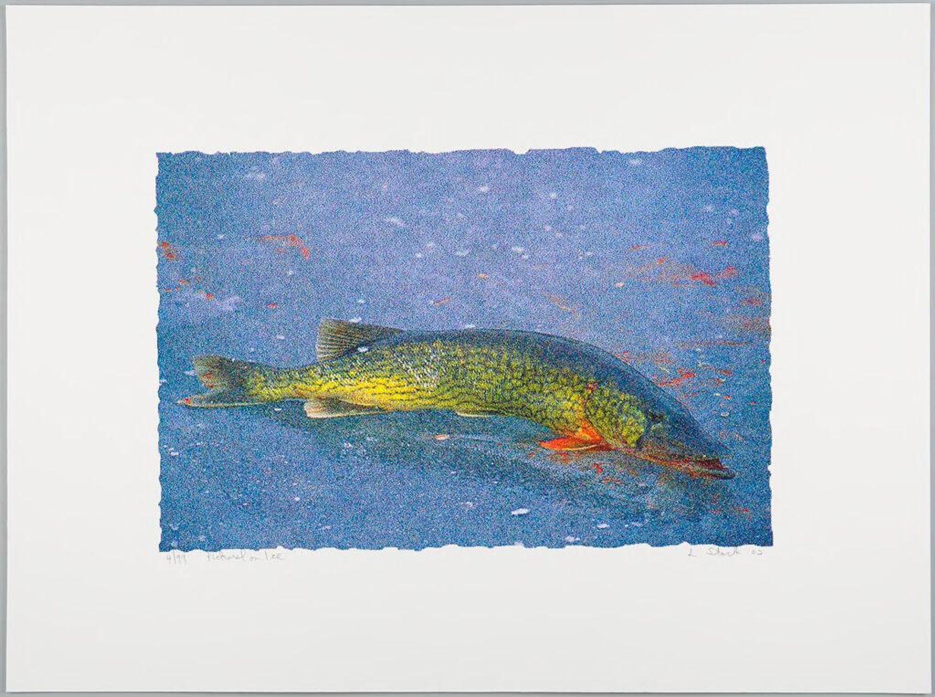 Pickerel on Ice by Larry Stark