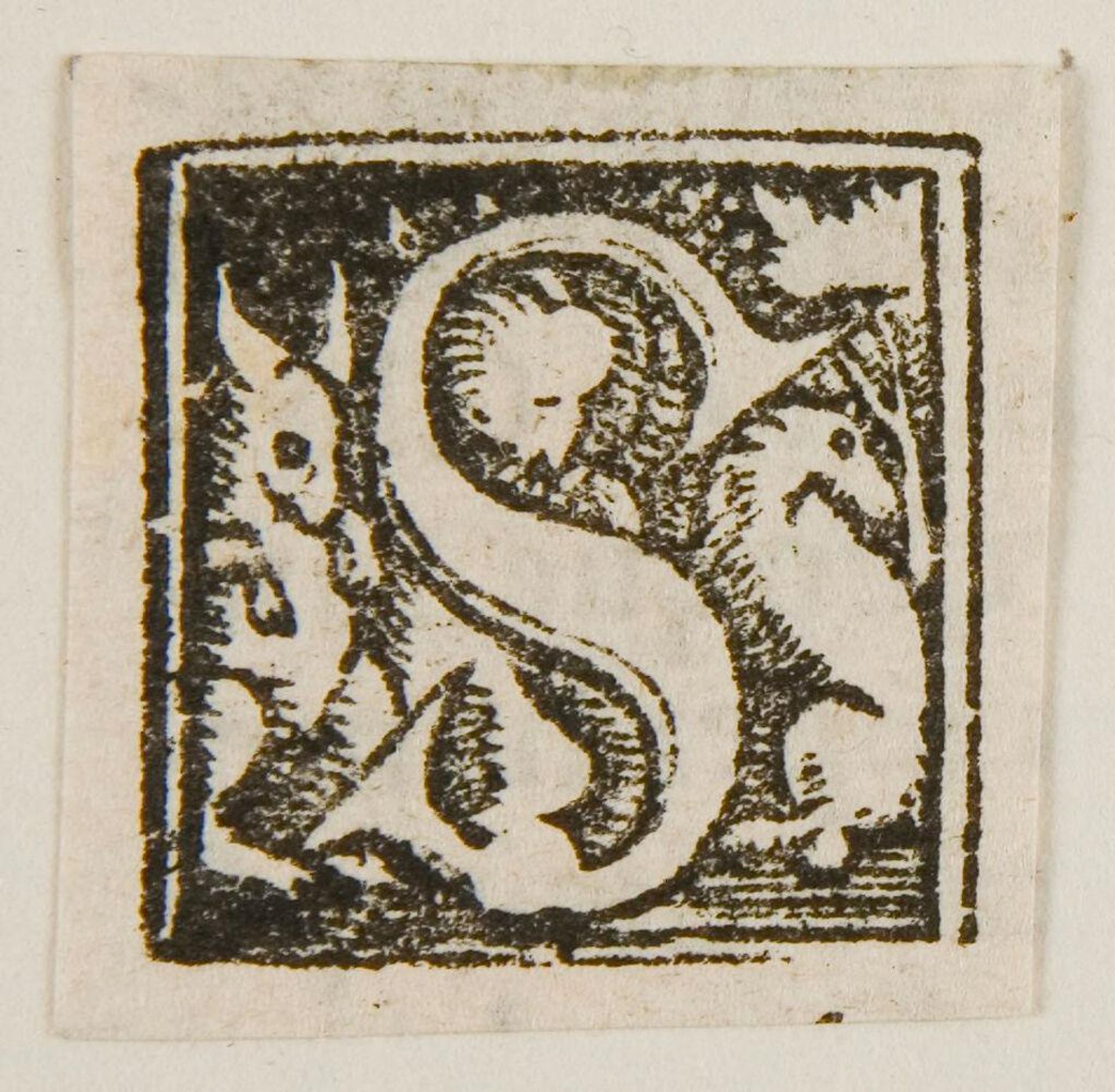 Letter S by Anonymous