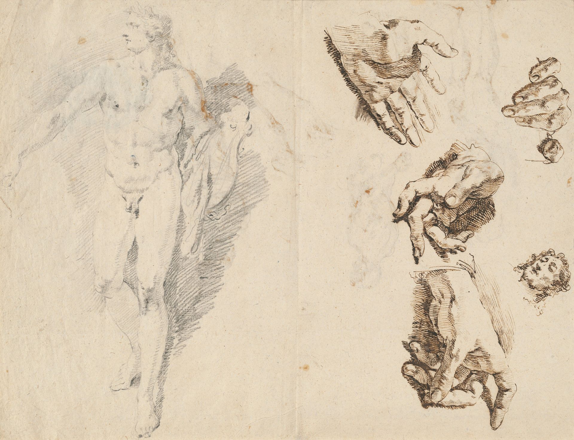 Apollo and Studies of the Artist's Own Hand [recto] by Francesco Fontebasso