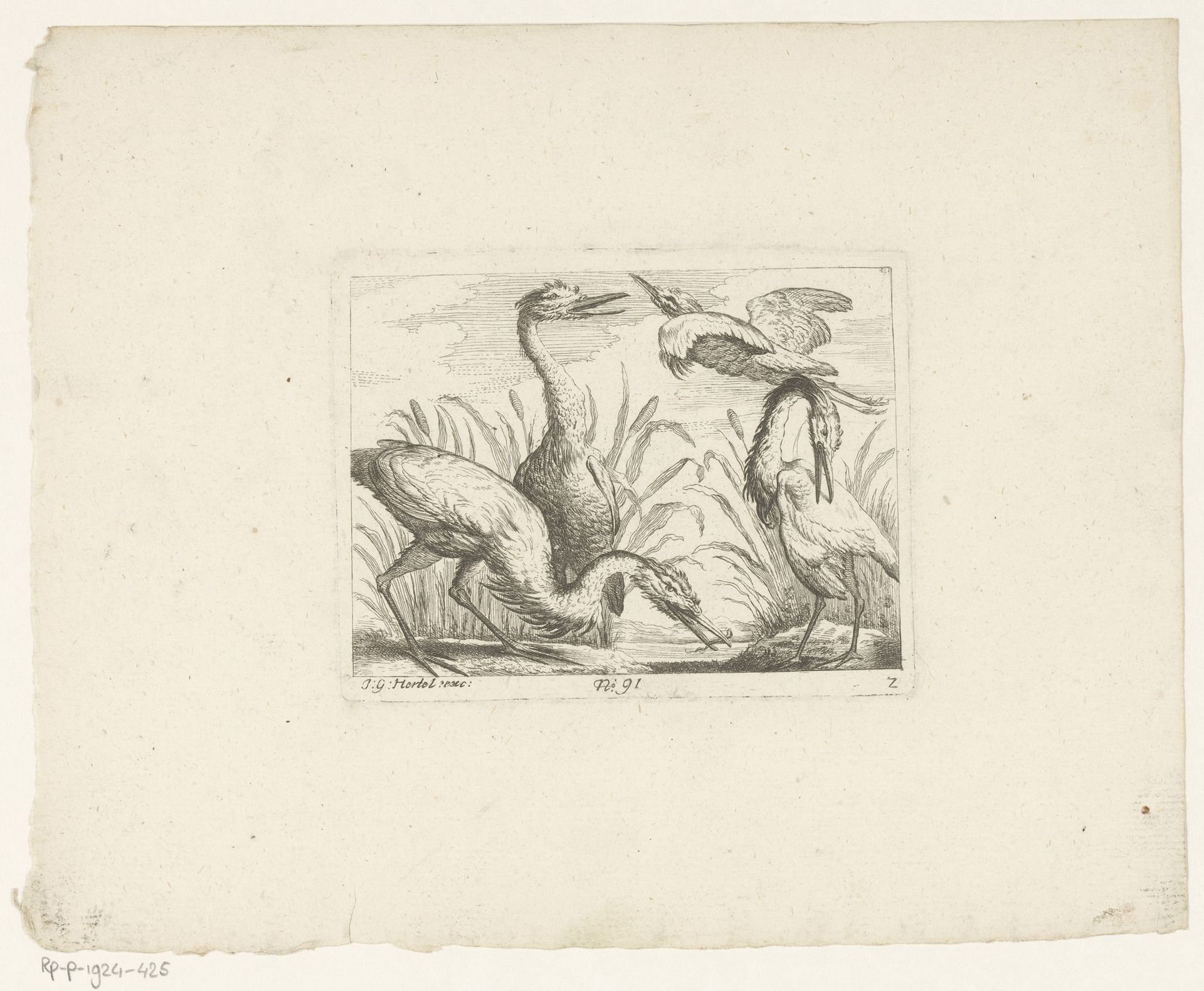 Landschap met vier reigers by Johann Georg Hertel