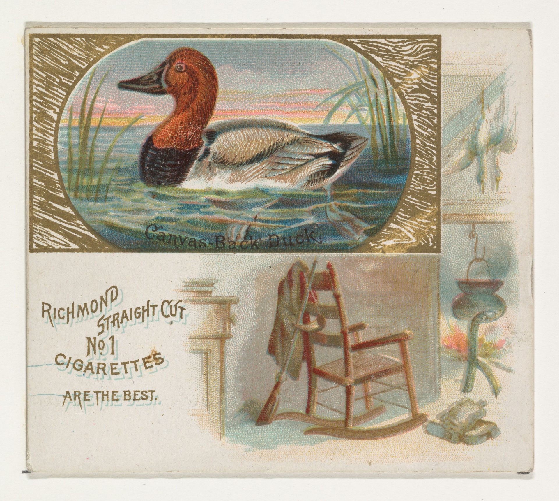 Canvas-Back Duck, from the Game Birds series (N40) for Allen & Ginter Cigarettes by Allen & Ginter