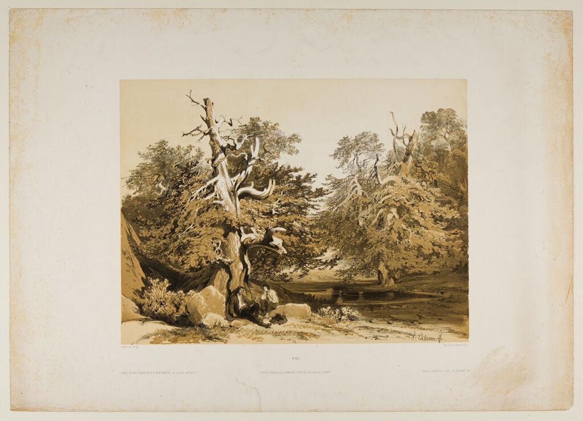 Ifs by Alexandre Calame
