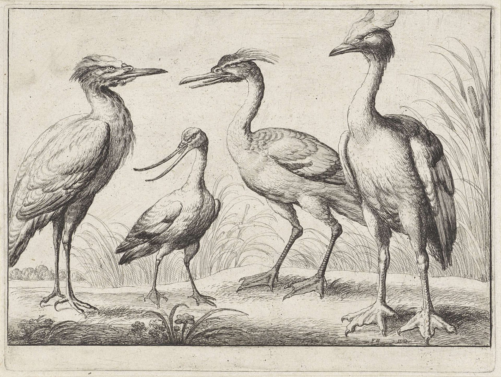 Vier waadvogels by Wenceslaus Hollar