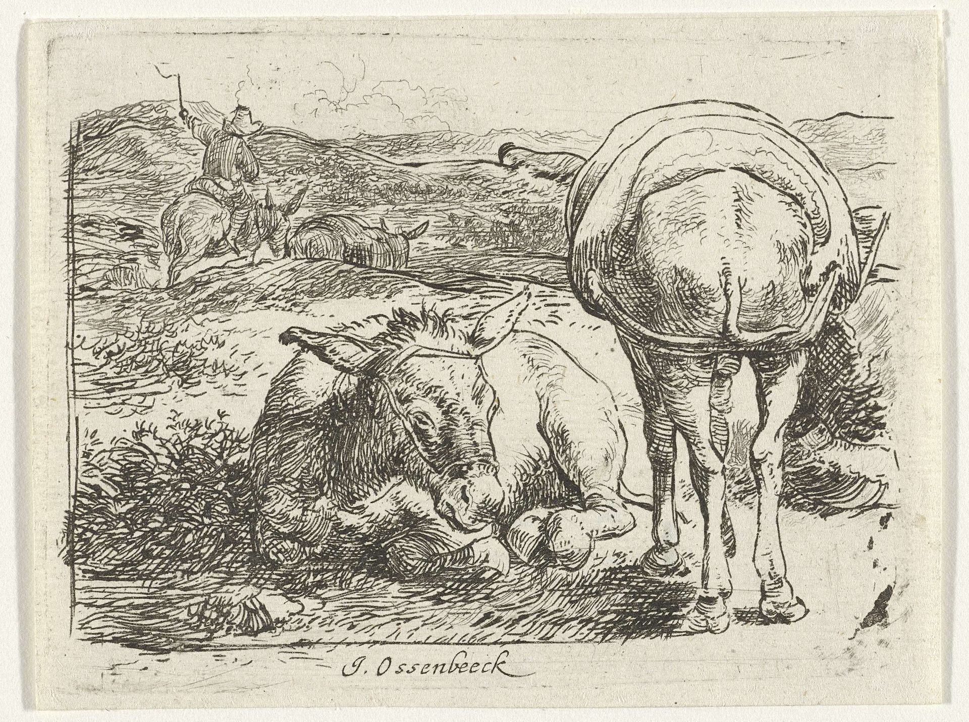 Twee ezels by Jan van Ossenbeeck