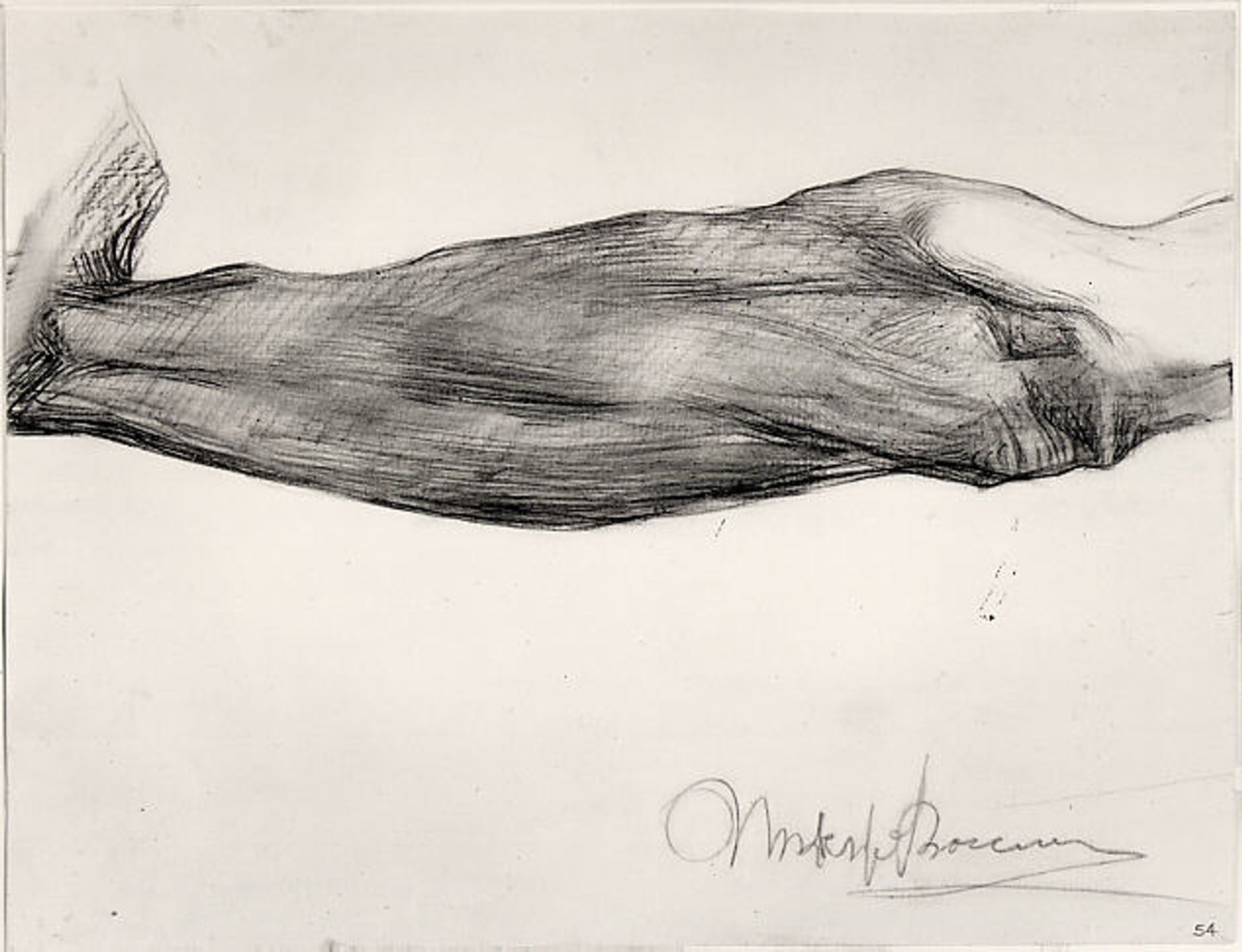 Study of a Man's Forearm (recto); Study of Extended Arms with Hands Clasped (verso) by Umberto Boccioni