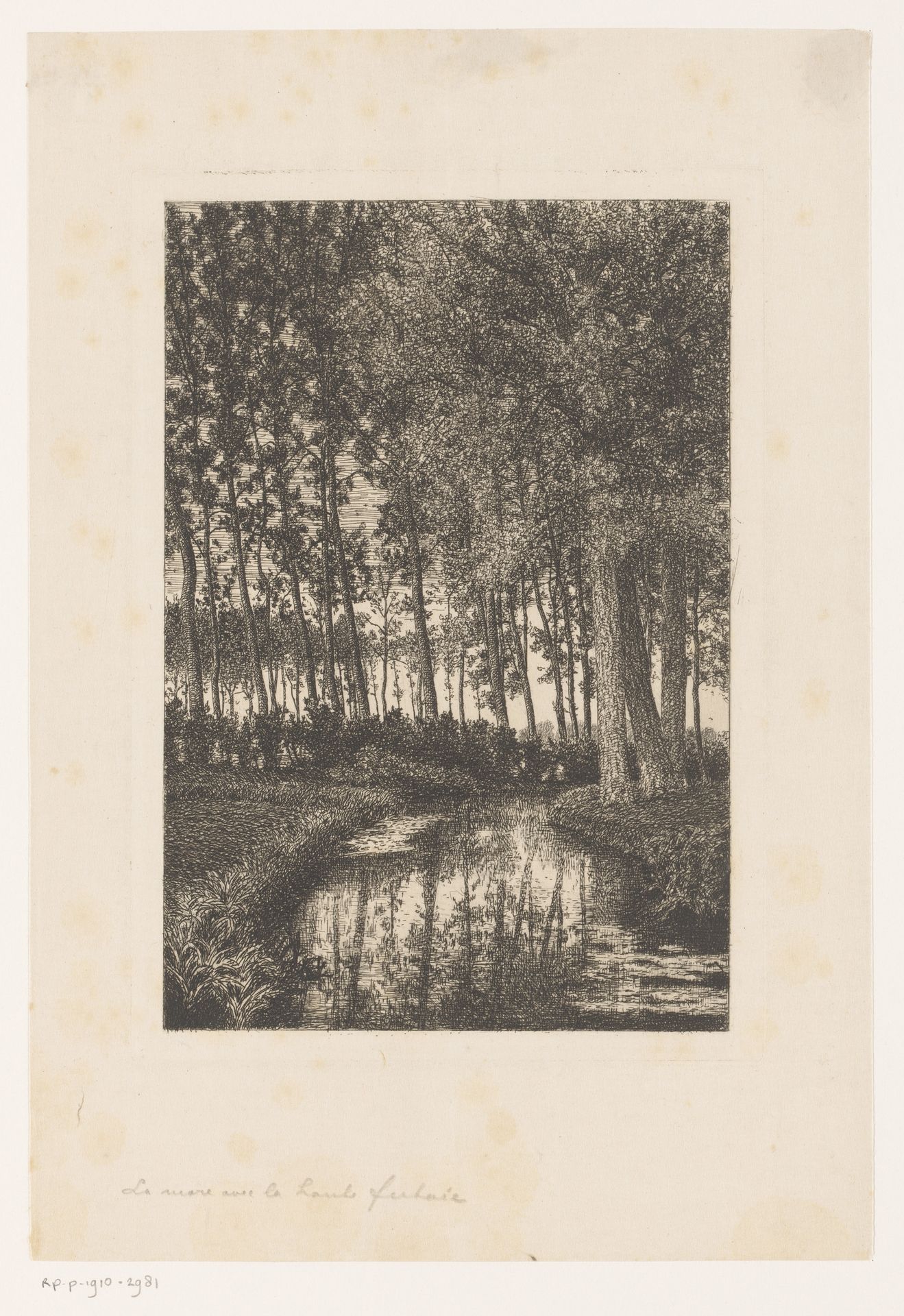 Hoge bomen aan het water by Alfred Elsen
