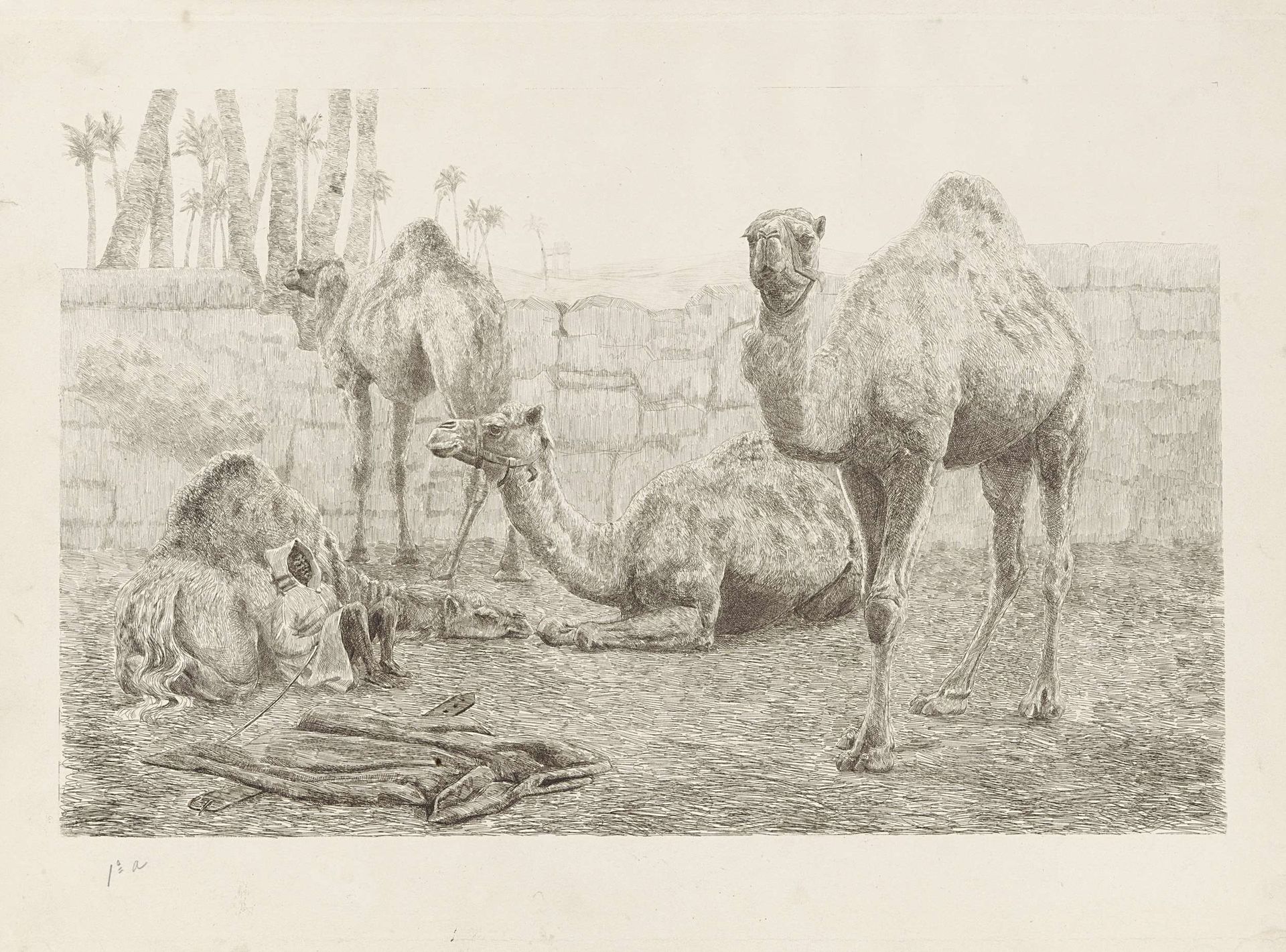 Kamelen by August Le Gras