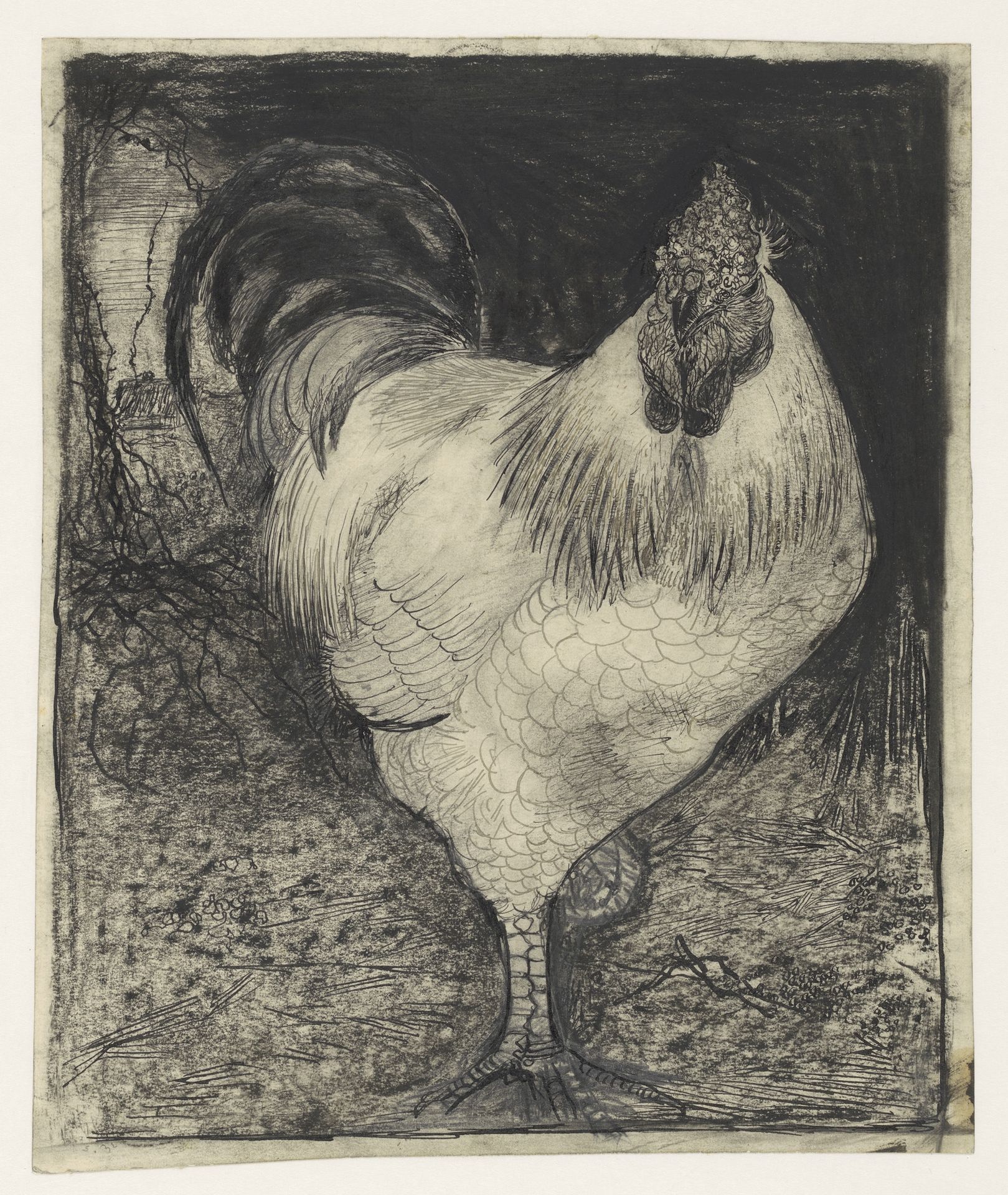 Haan op één poot by Jan Mankes