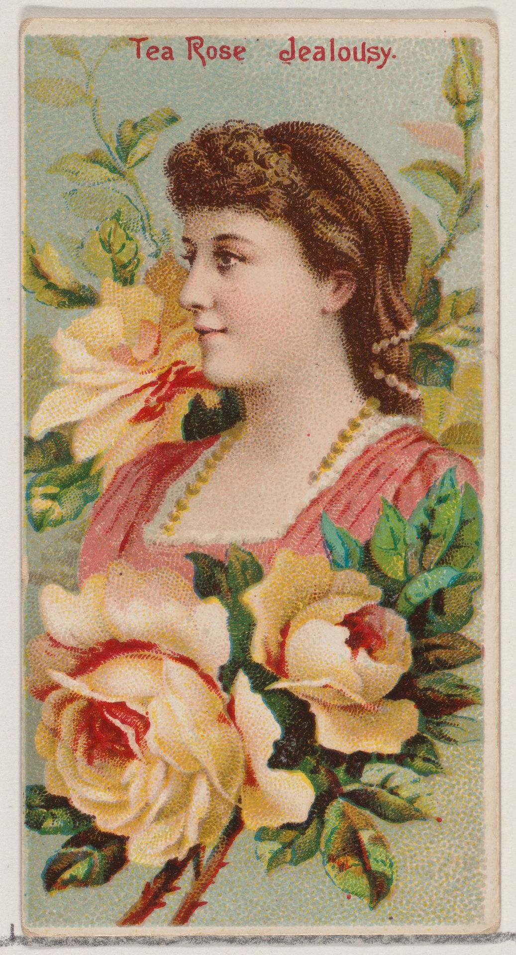 Tea Rose: Jealousy, from the series Floral Beauties and Language of Flowers (N75) for Duke brand cigarettes by American Tobacco Company