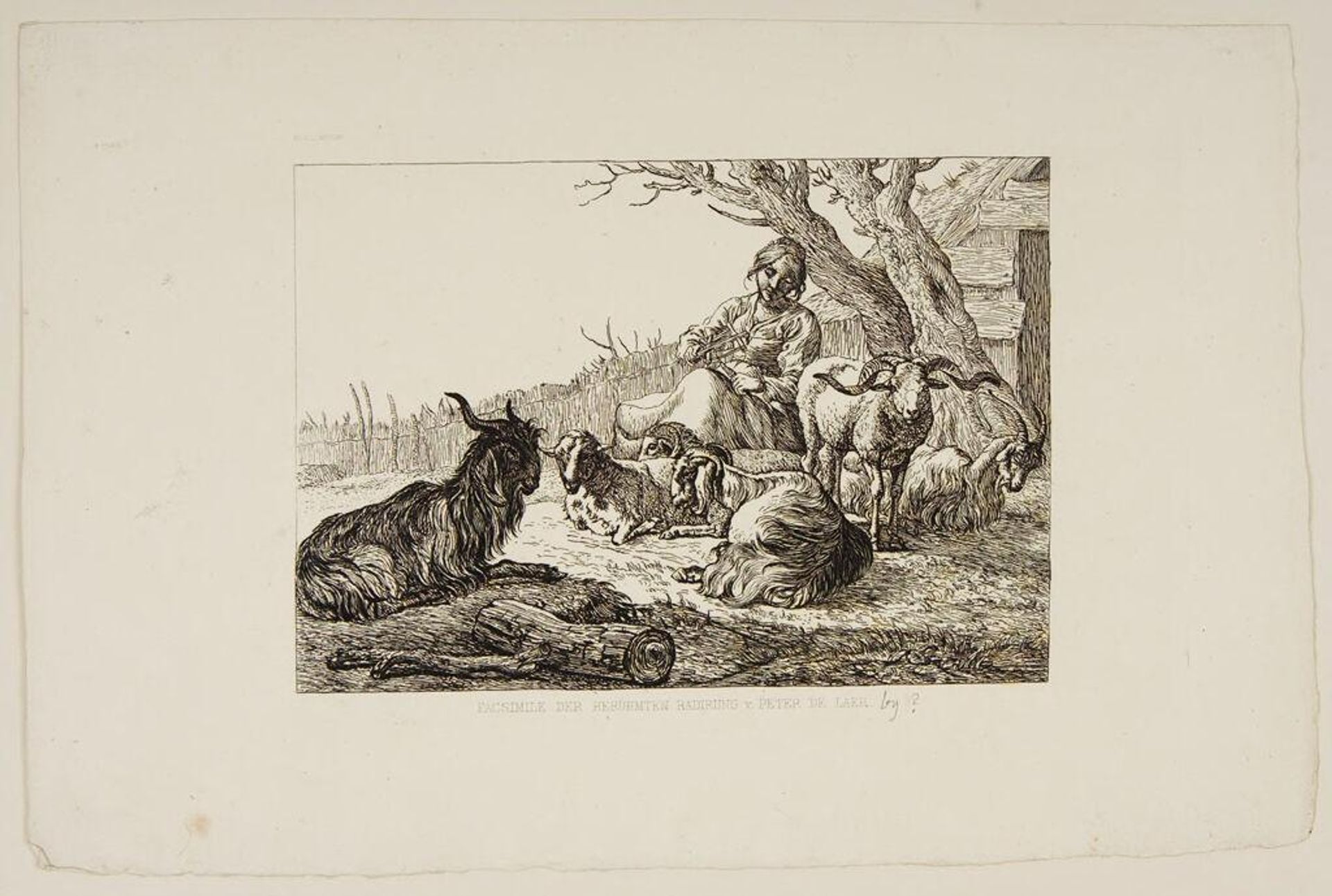 Goats by Pieter van Laer
