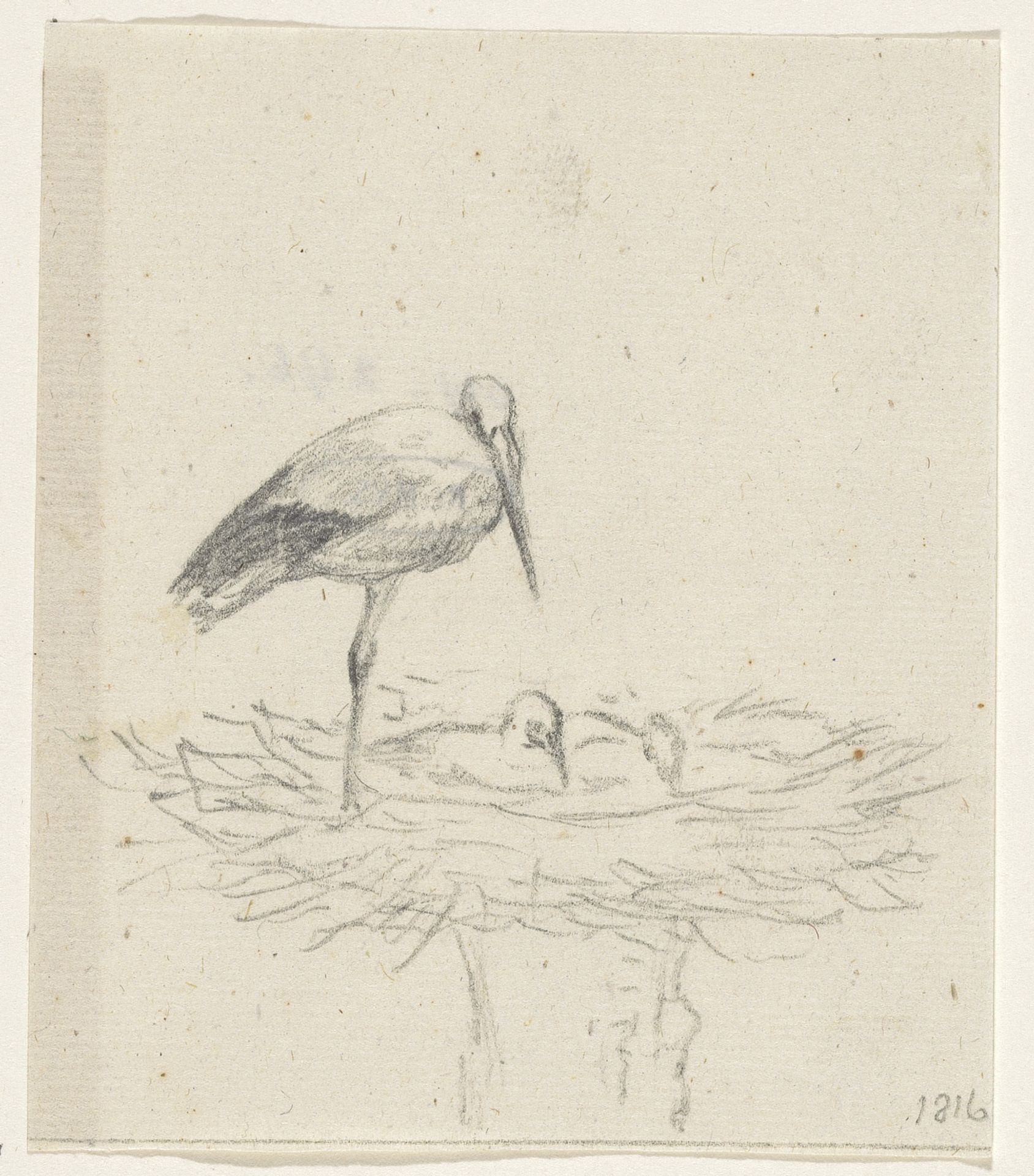 Ooievaar op nest by Jean Bernard