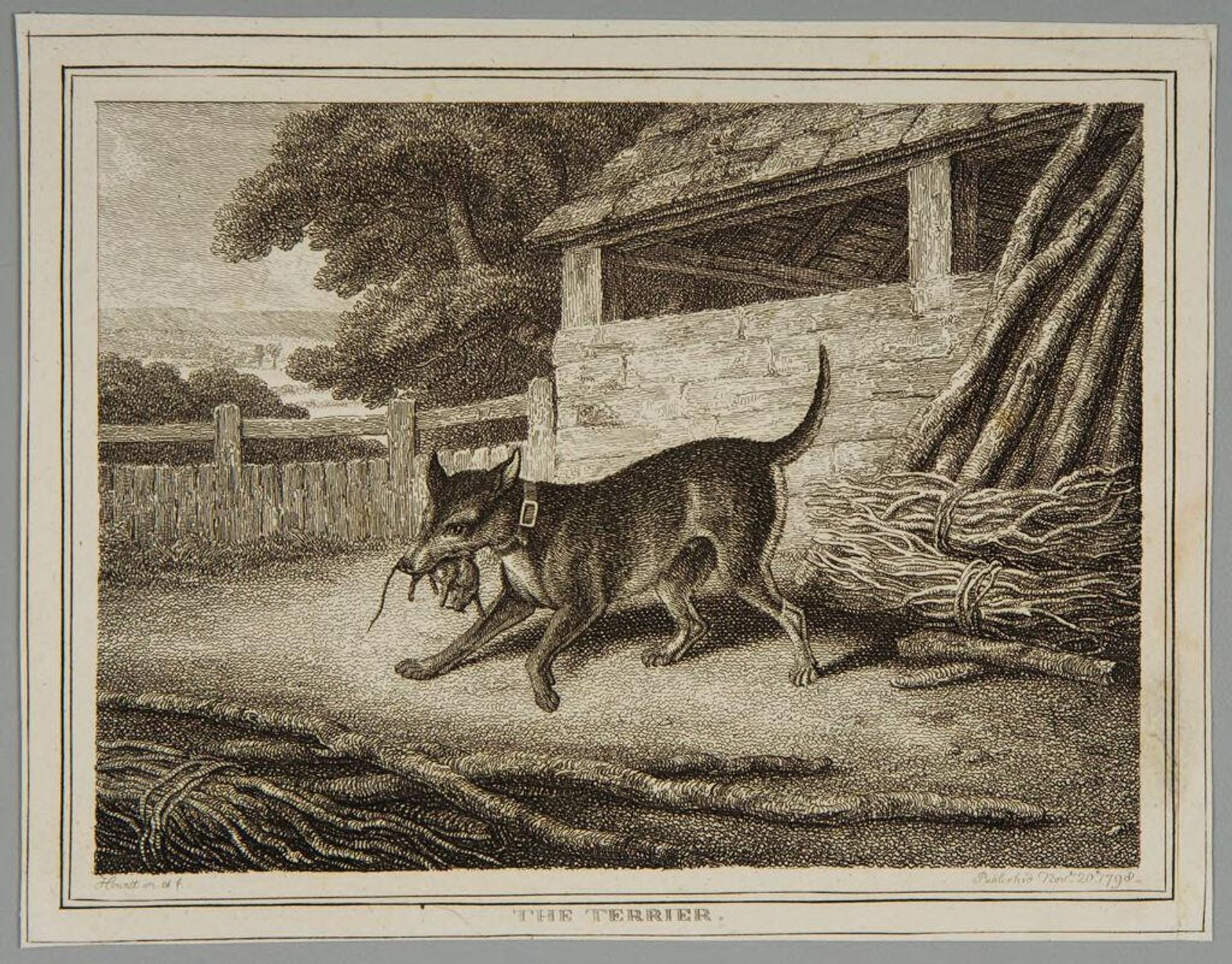 Terrier by Samuel Howitt