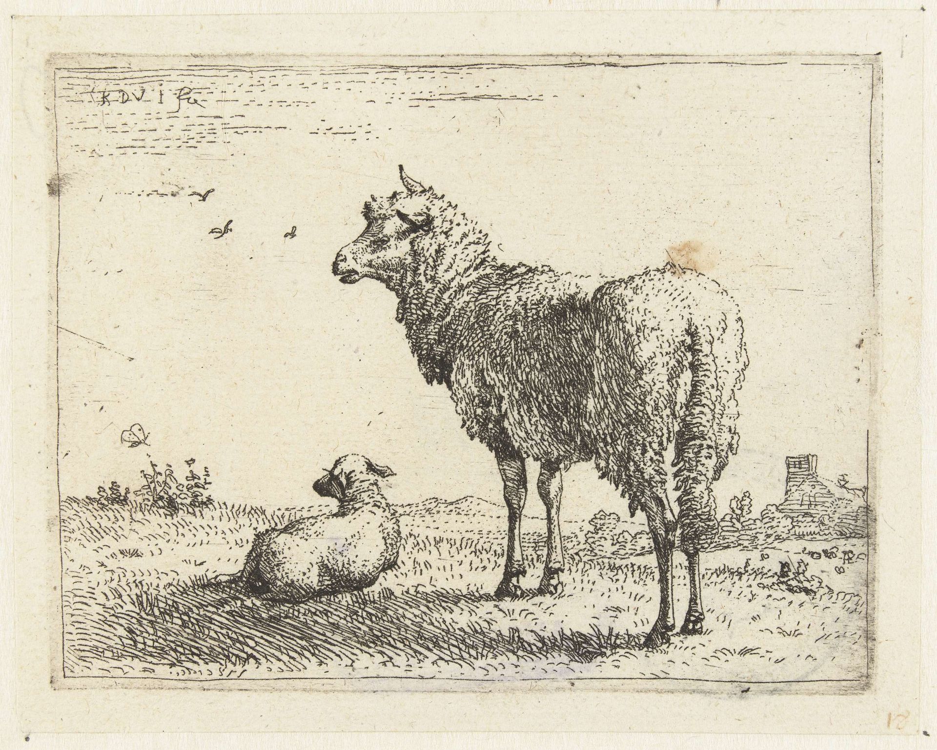 Ooi met een lam by Karel du Jardin