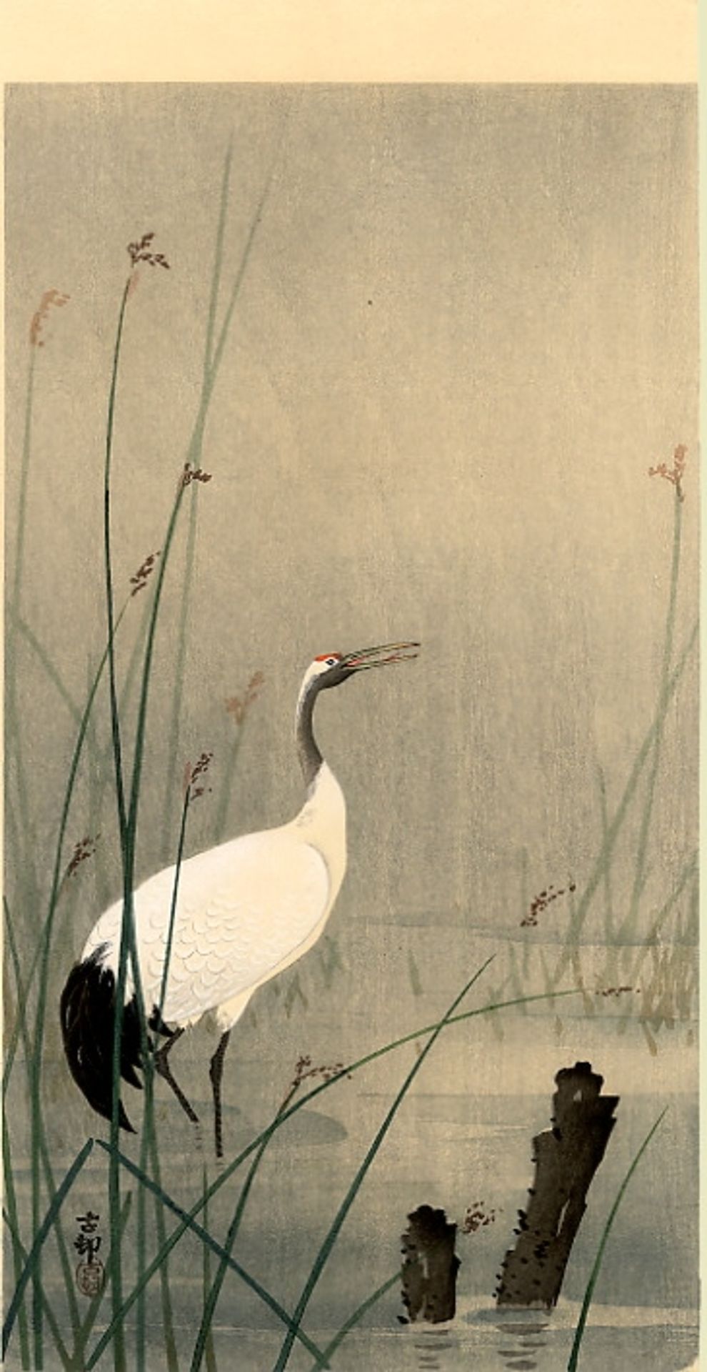 Crane in small water by Ohara Koson