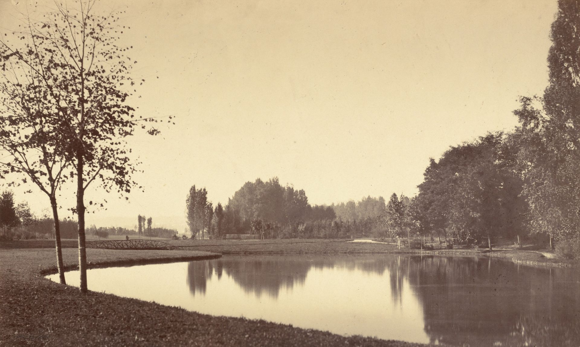 Bois de Boulogne by Charles Marville