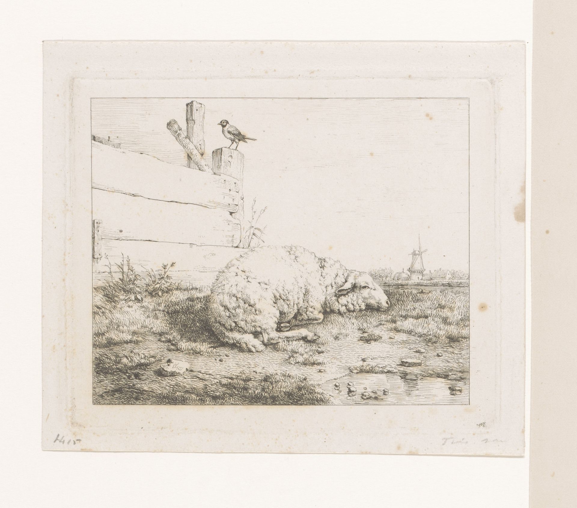Schaap liggend bij hek by Eugène Verboeckhoven
